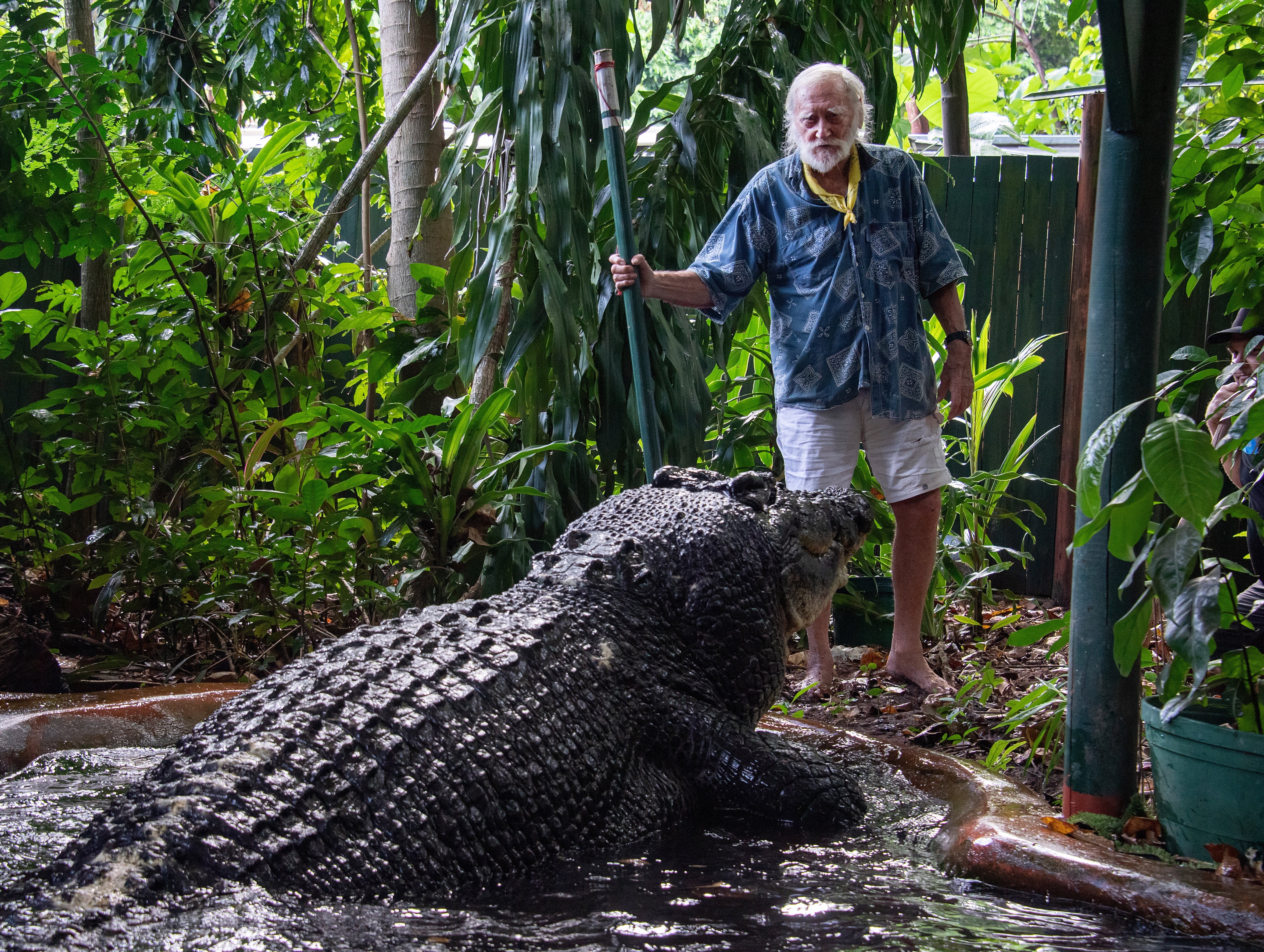 Cassius, the Guinness Book of Records largest crocodile in captivity, died at Green Island’s Marineland Melanesia on 01 November