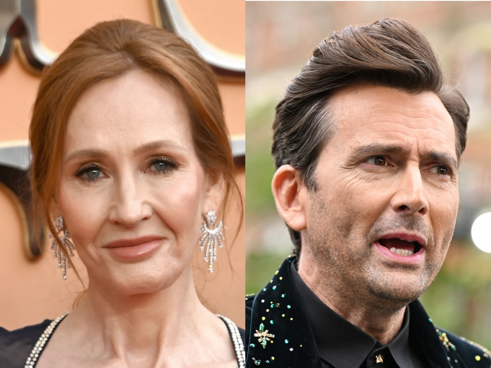 JK Rowling and David Tennant have both argued about transgender rights