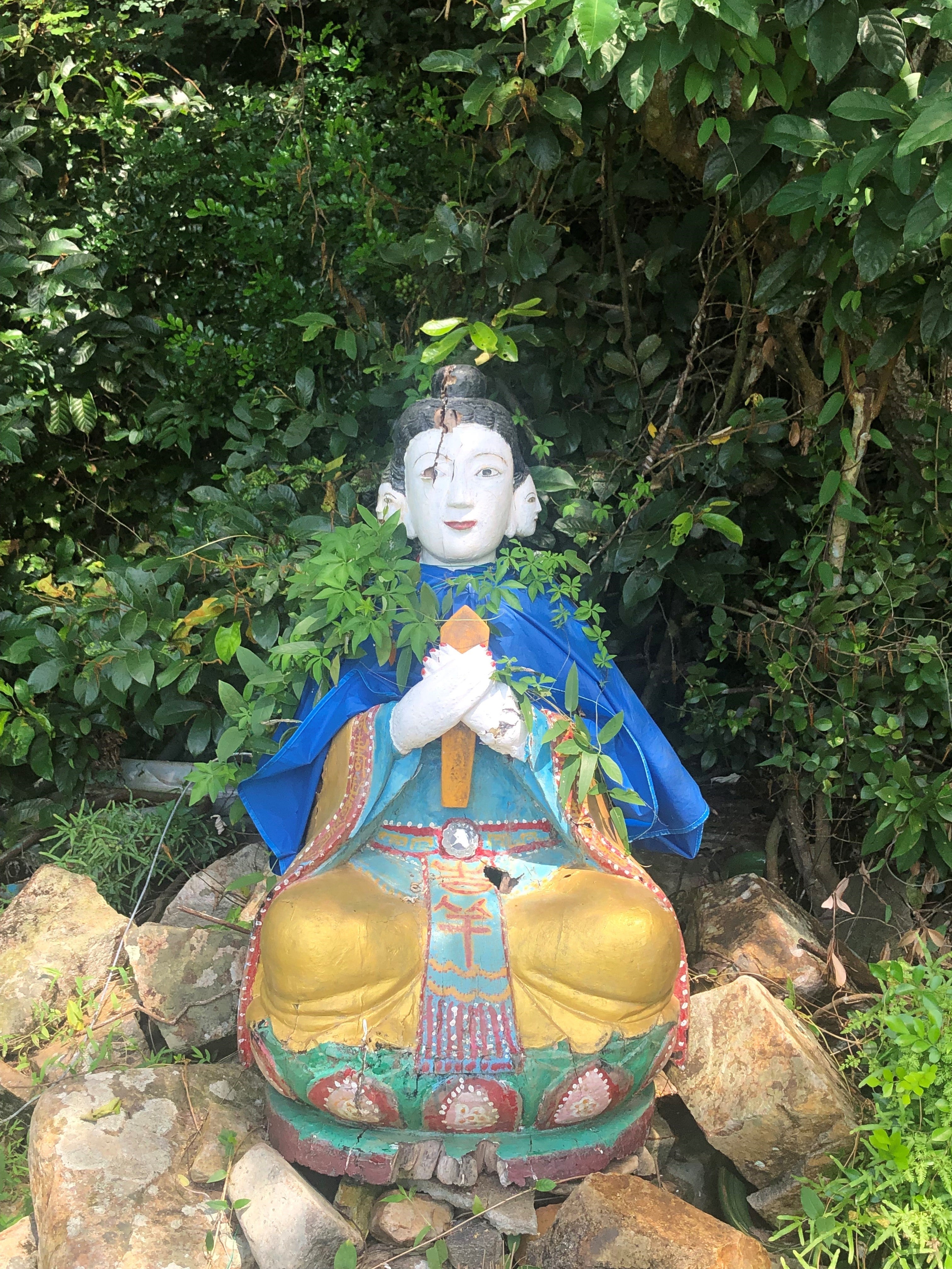 A statue reclaimed by nature at Pak Lap Village in Hong Kong as dragonflies swarm in the air