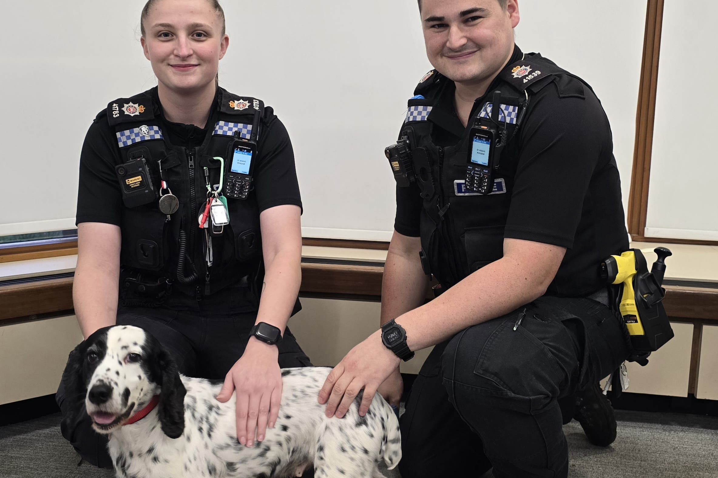 A black-and-white cocker spaniel called Daisy has been reunited with her owners after being stolen eight years ago (Surrey Police/PA)