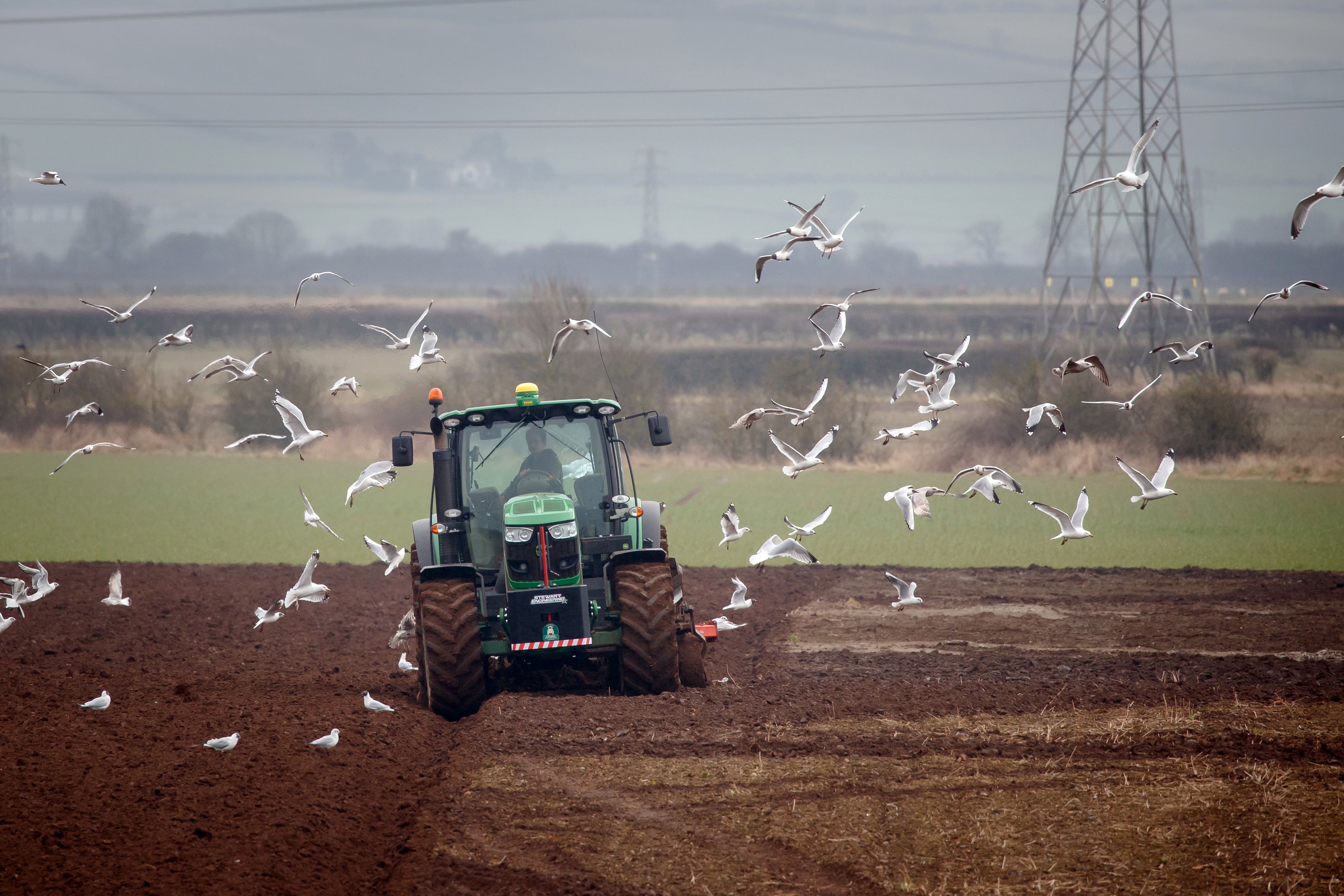 A tractor ploughs a field (Danny Lawson/PA)