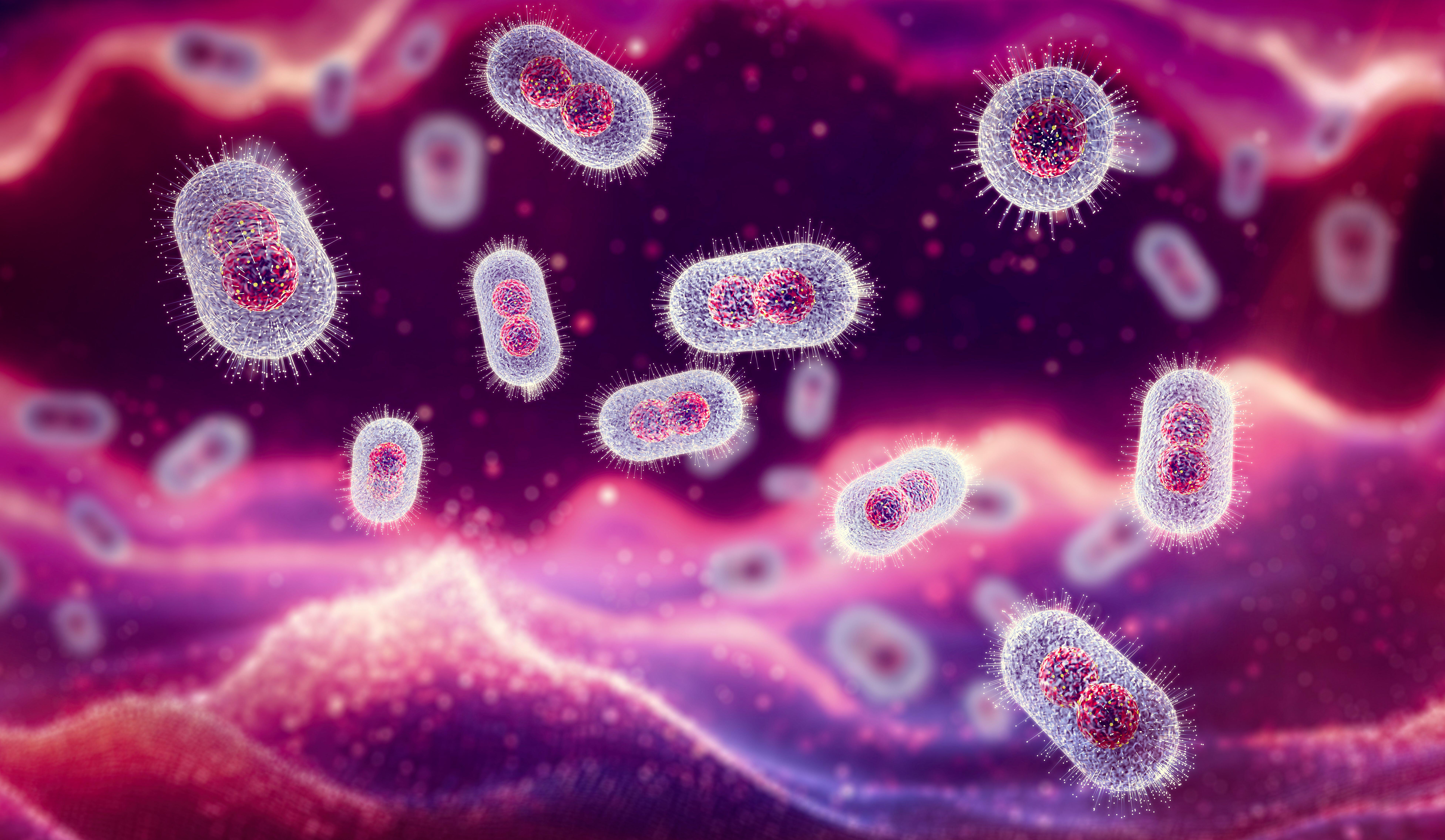 The virus is ‘zoonotic’