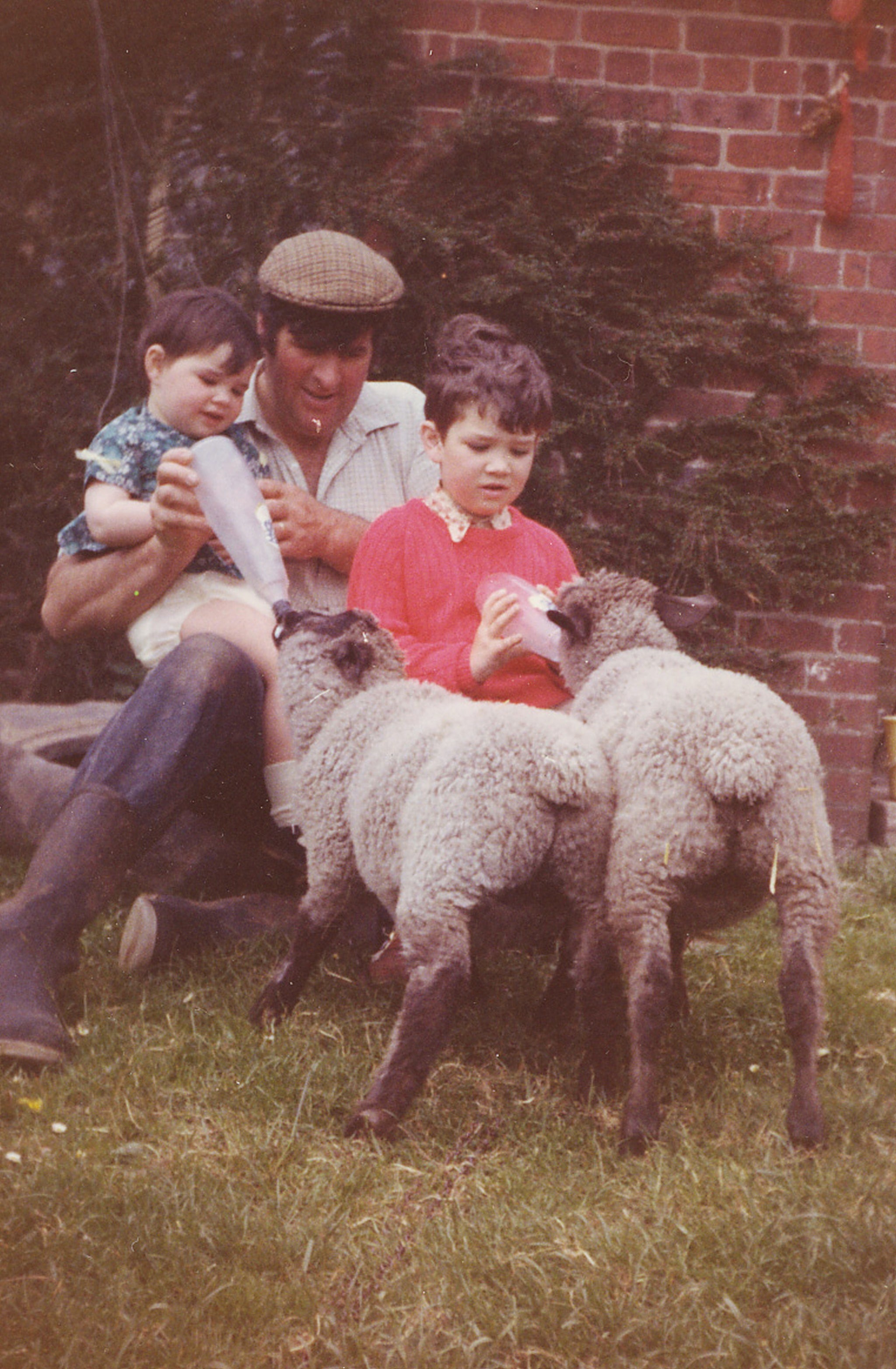 Richard Benson, right, and his sister help their dad feed sheep on the farm in the 1970s