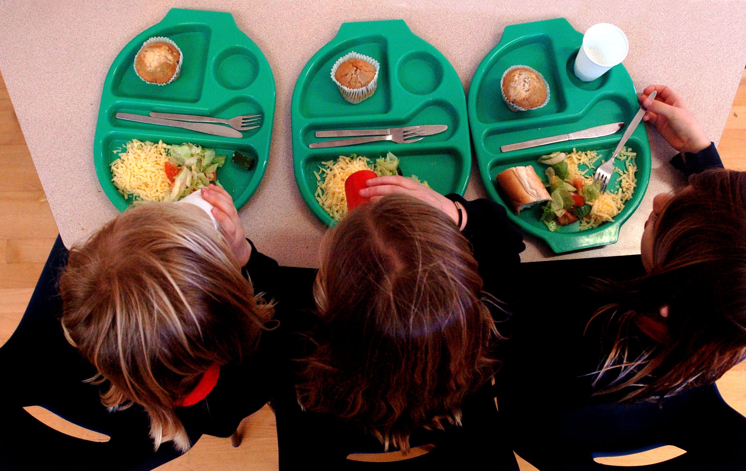 All primary school-aged children should be given free meals to help tackle the obesity crisis, leading health experts have said.