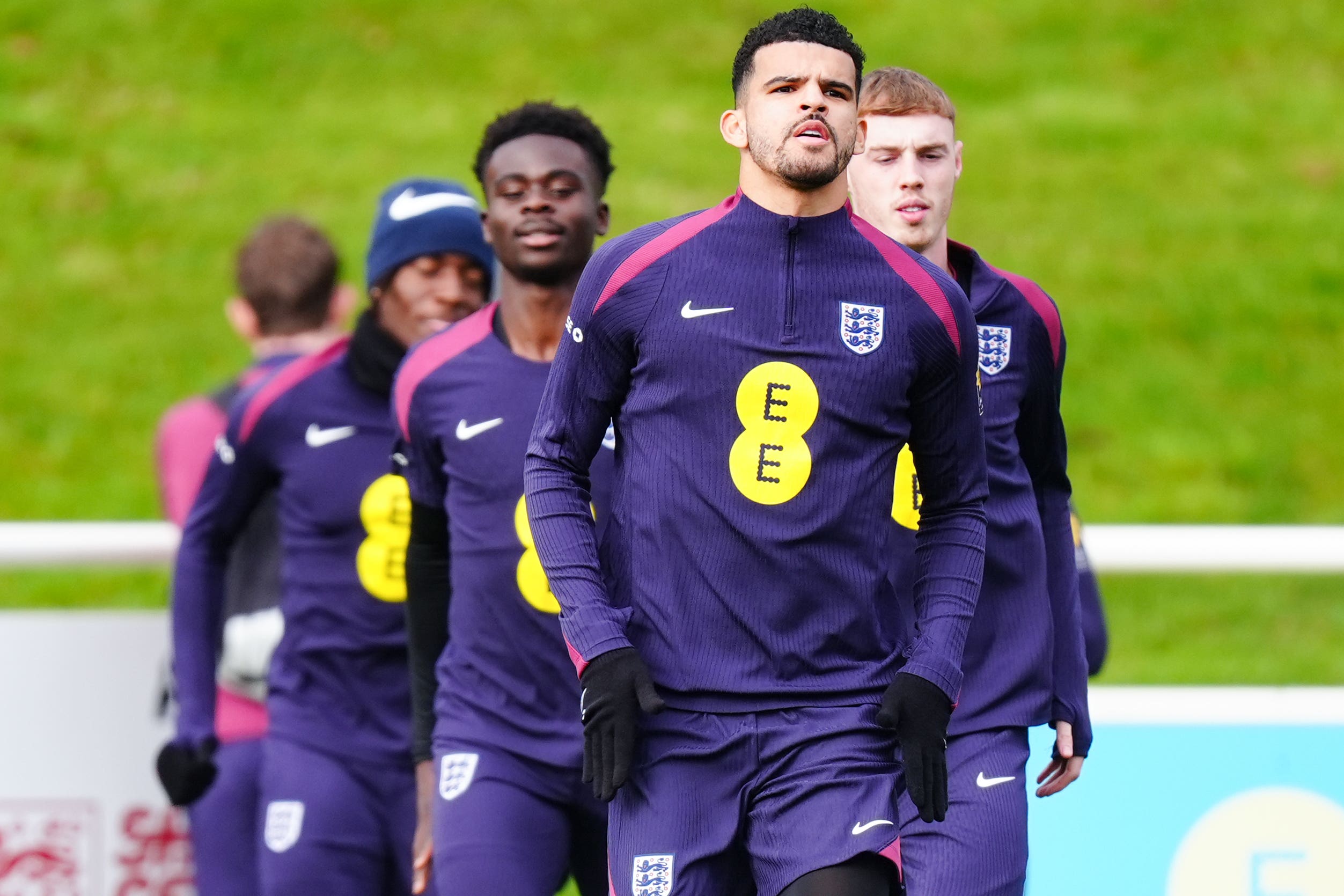 Dominic Solanke has two caps for England (Mike Egerton/PA)