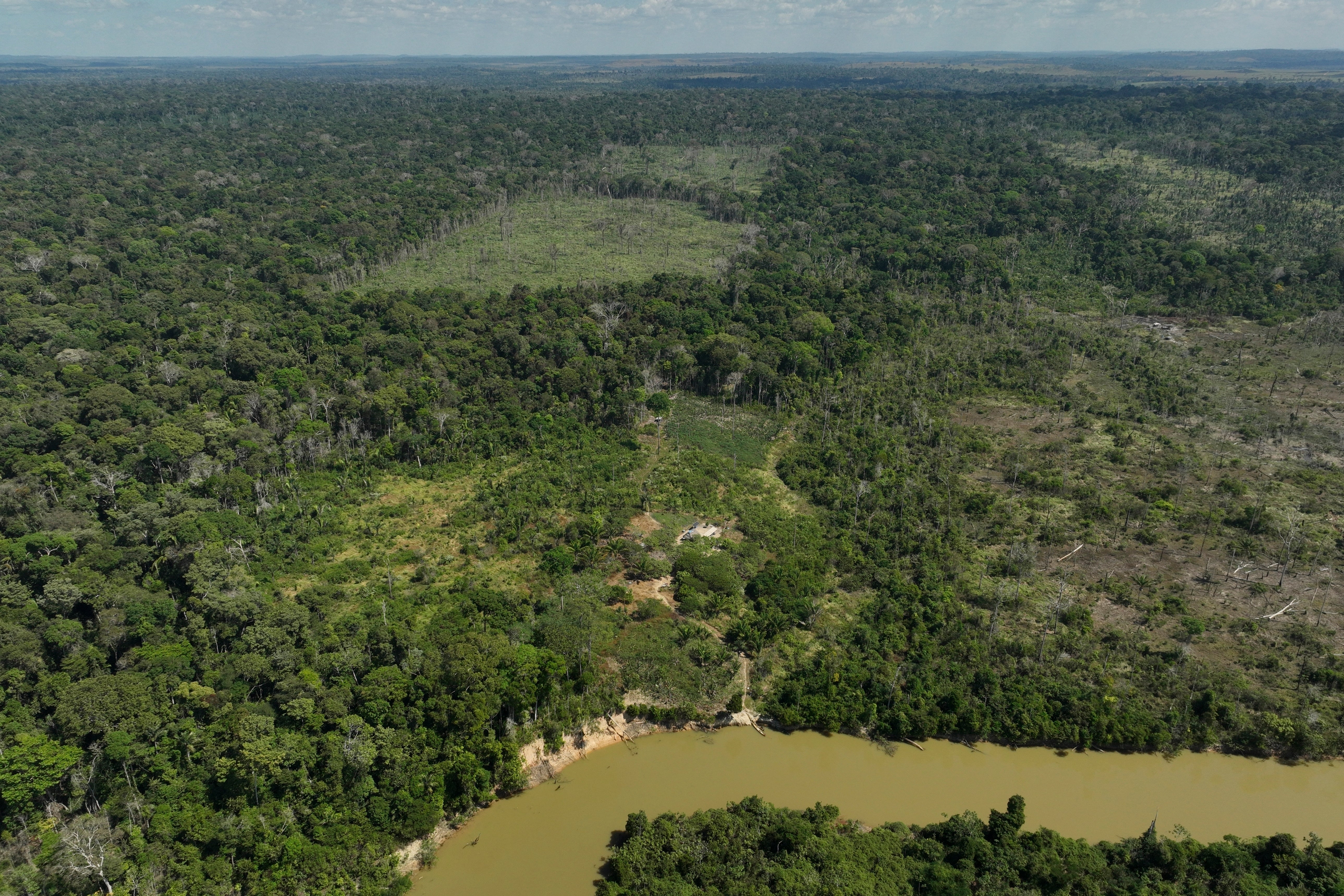 Brazil Amazon Deforestation