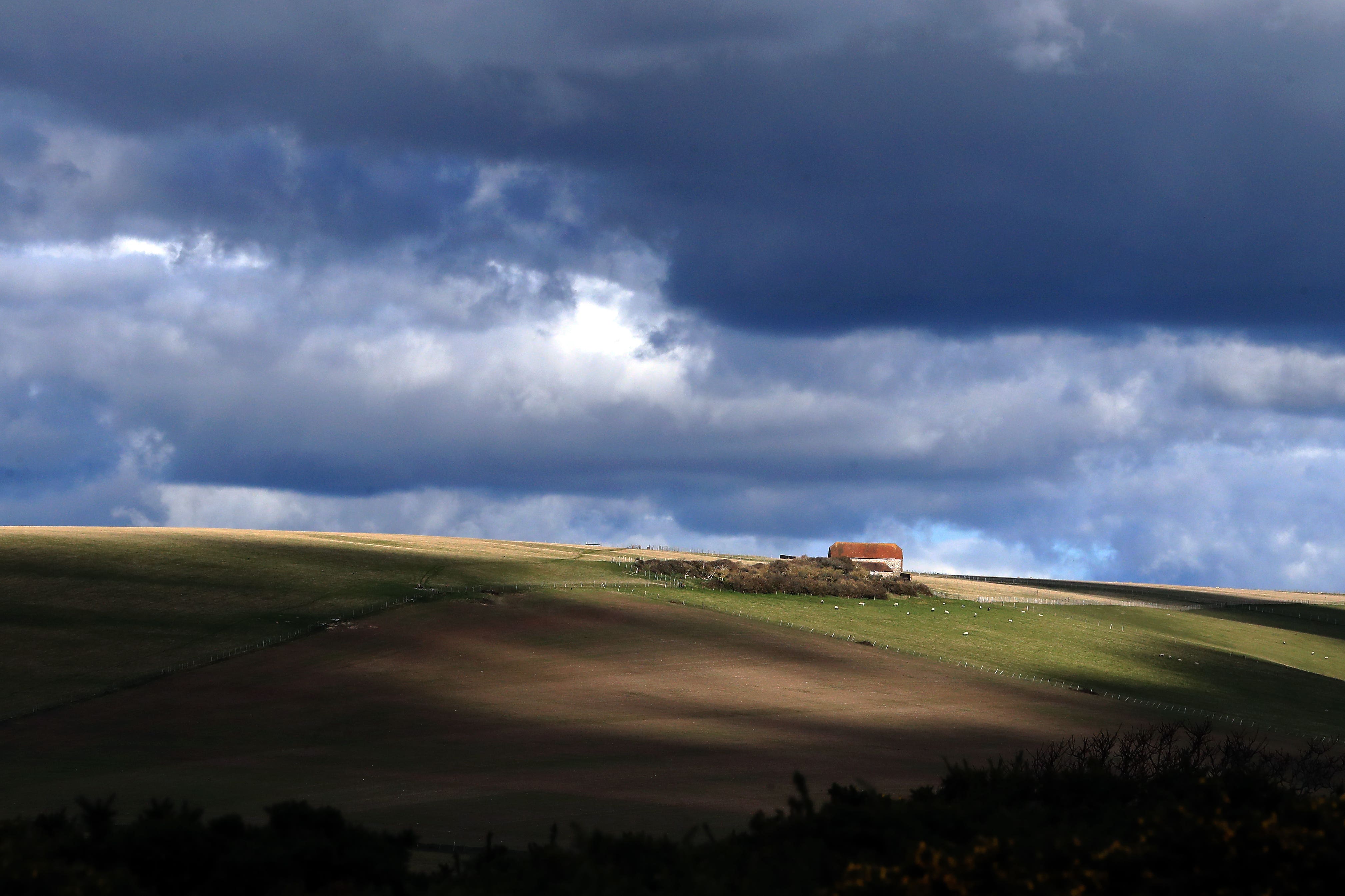 Large landowners should be required to report on their action for nature, conservationists say (Gareth Fuller/PA)