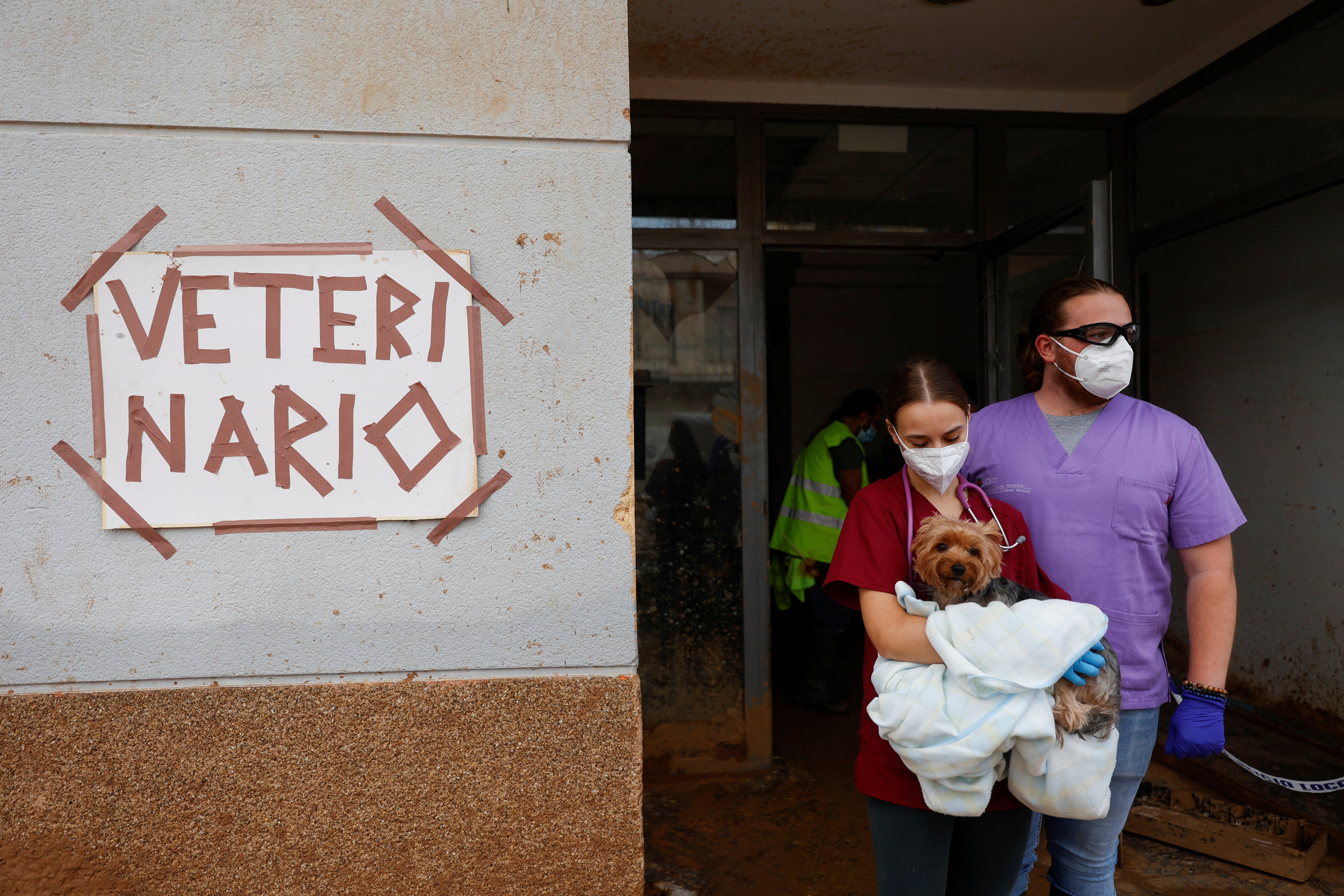 Two veterinary volunteers take a dog to be treated at a hospital, in Paiporta, Valencia