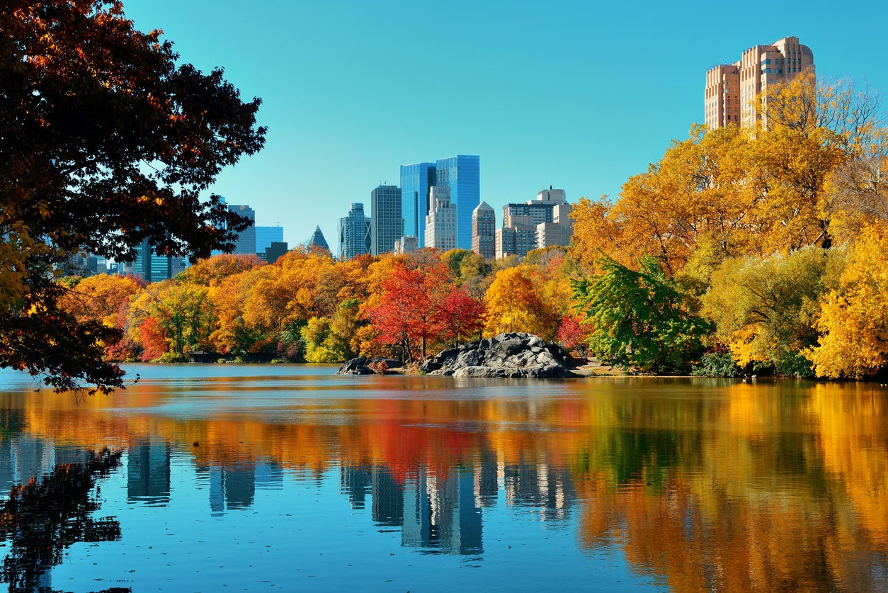 Explore Central Park, the lungs of New York City