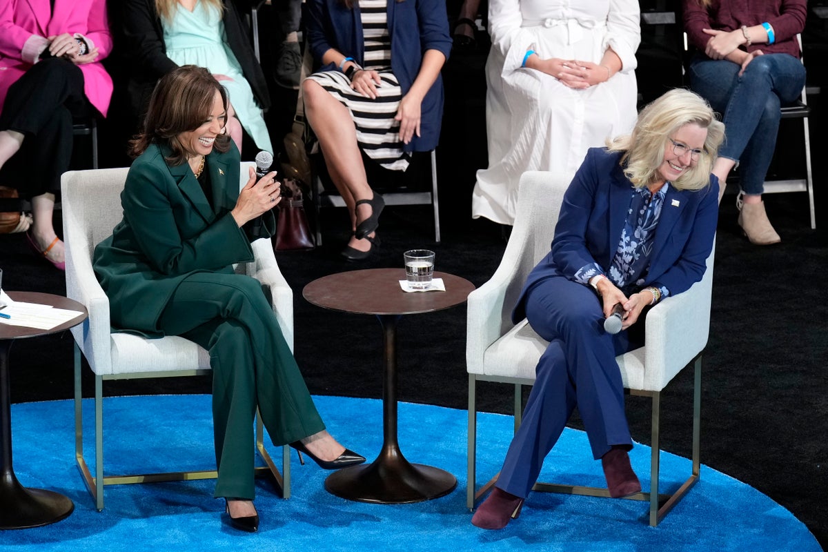 https://www.the-independent.com/news/world/americas/us-politics/harris-campaign-liz-cheney-election-b2644062.html social preview image