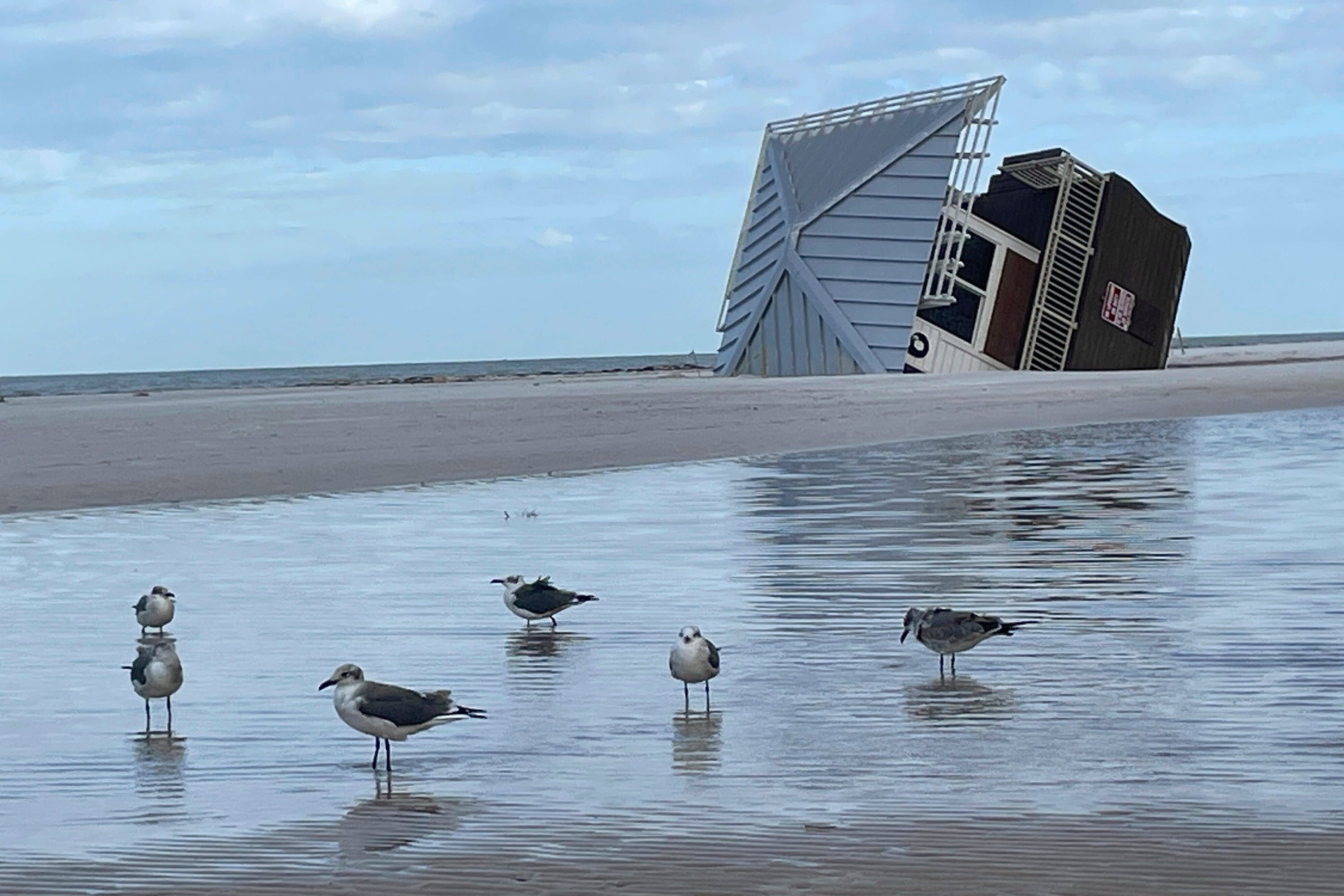 A lifeguard hut rests on its side after Hurricane Milton, October 11, at Clearwater Beach, Florida. Experts say hurricanes this year washed out many of the turtle nests along Florida’s Gulf Coast