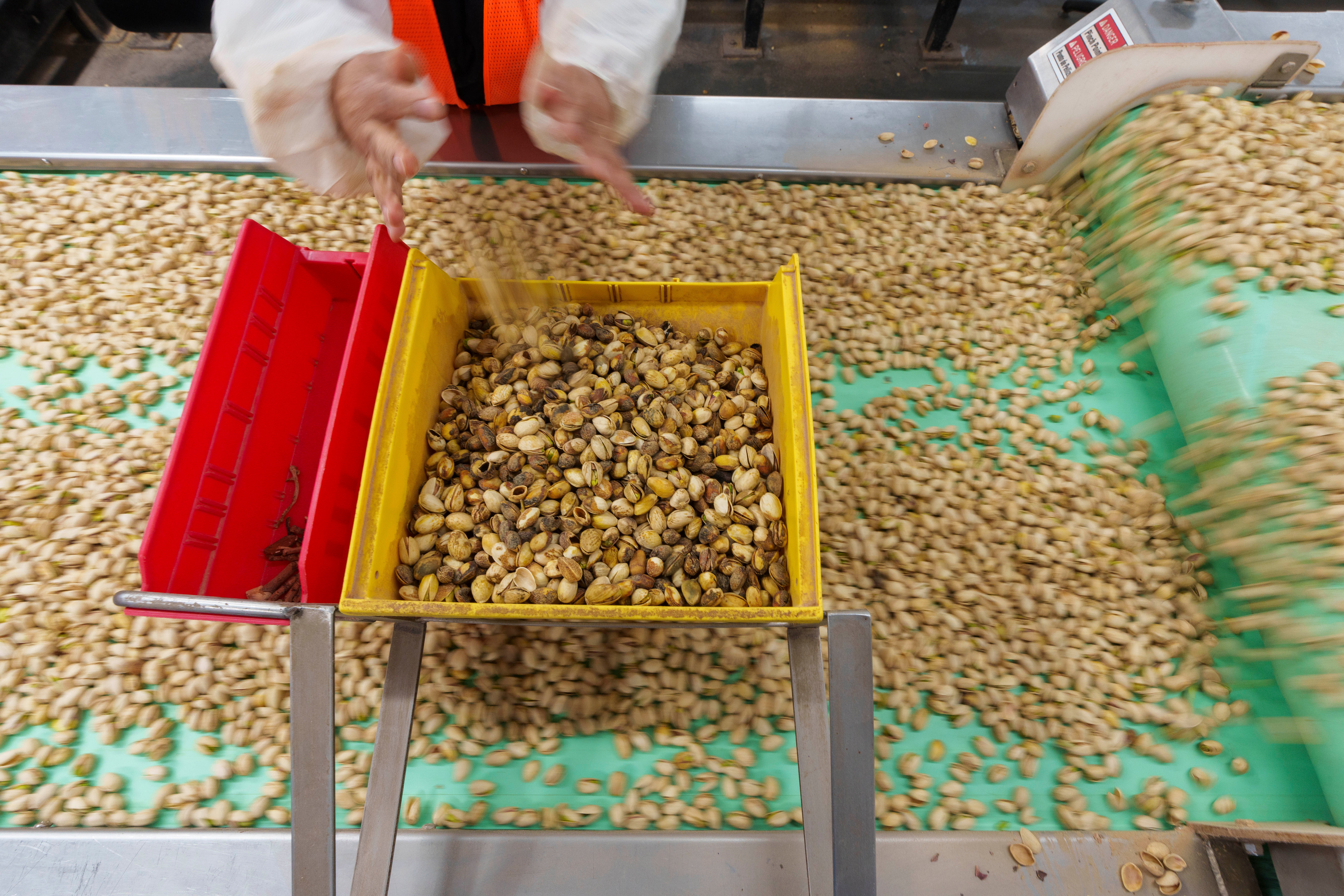 California Pistachio Boom