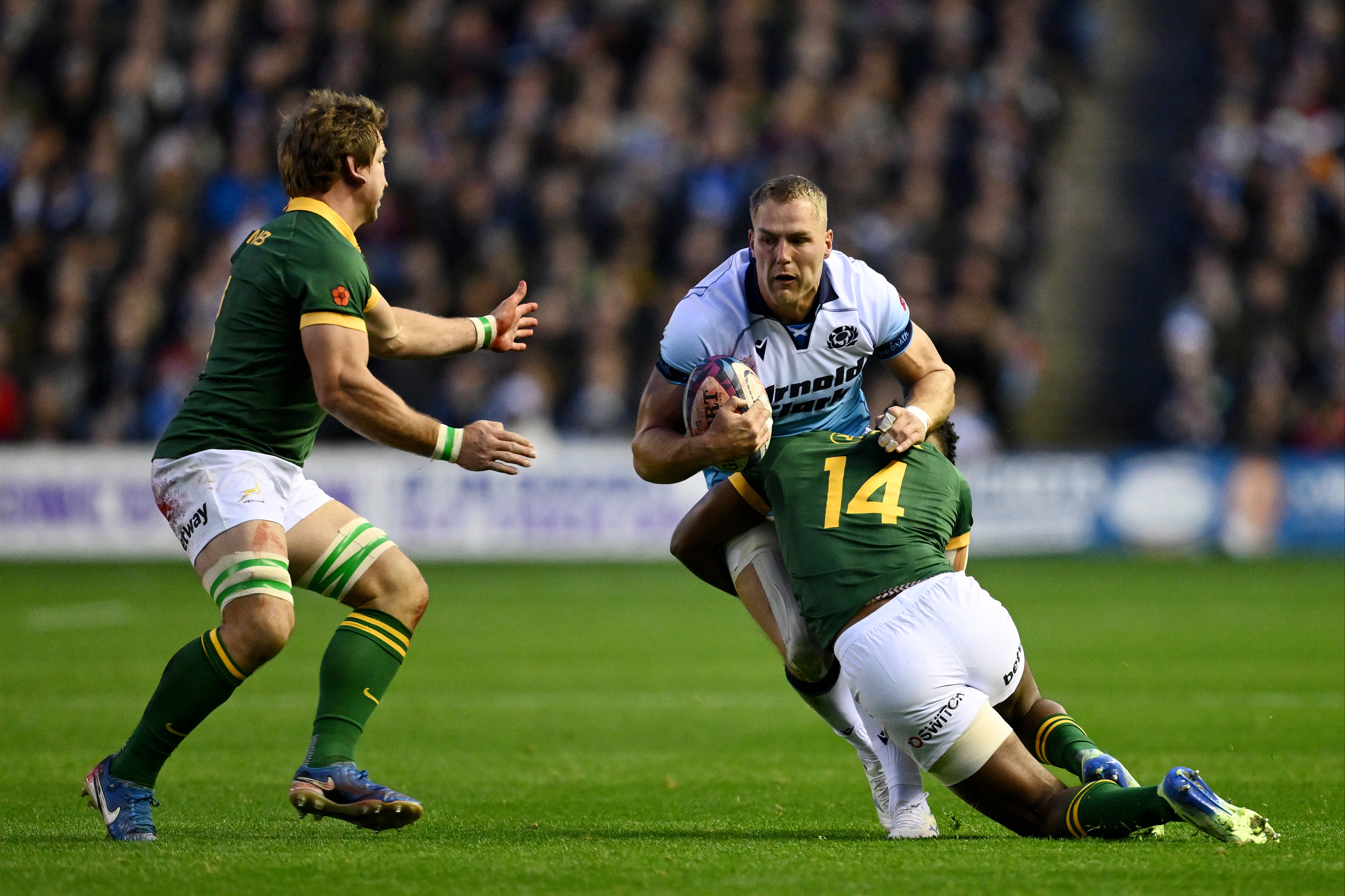 Scotland battled hard at Murrayfield