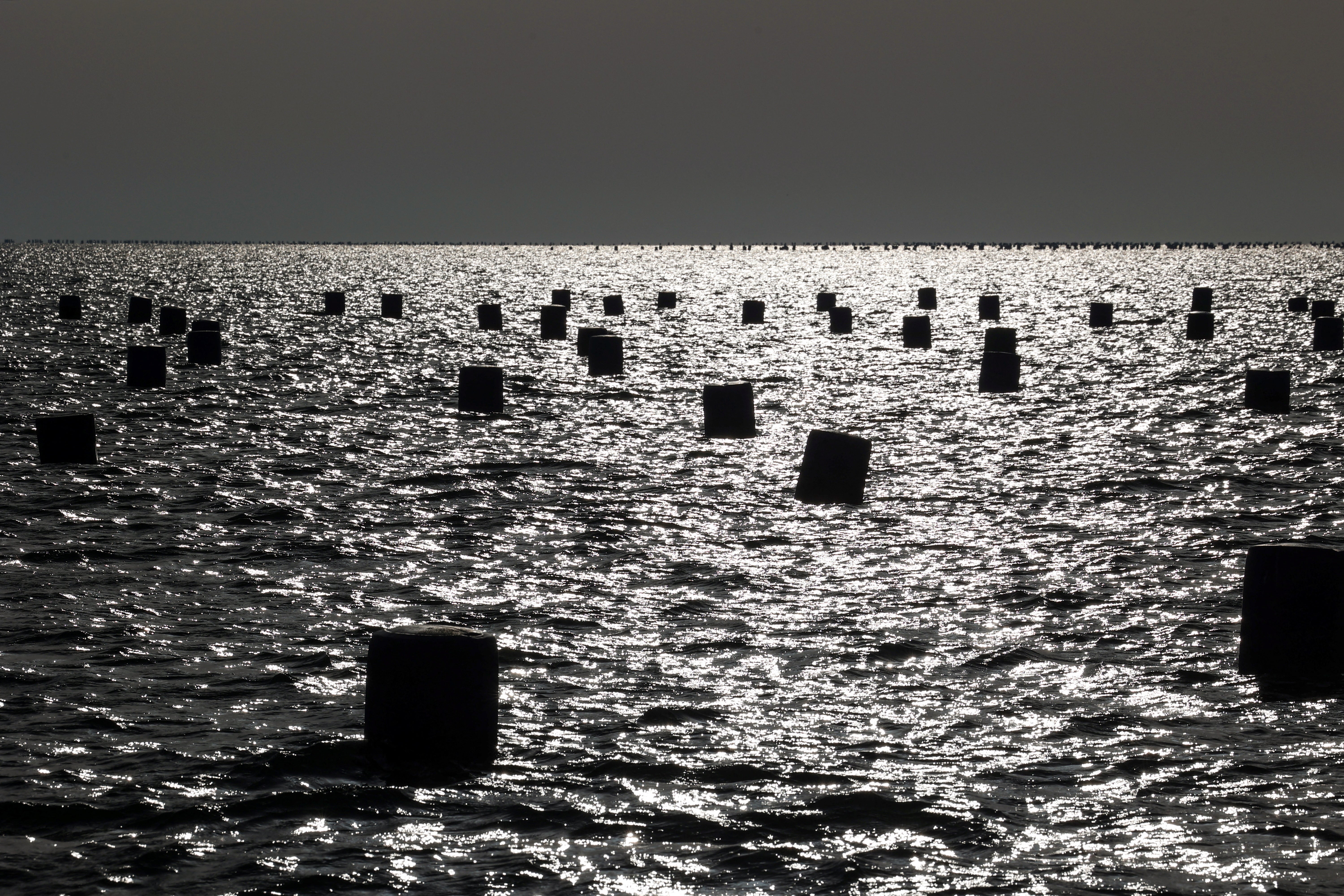 A view of a mussel farm at the Thermaic Gulf, near Thessaloniki, Greece