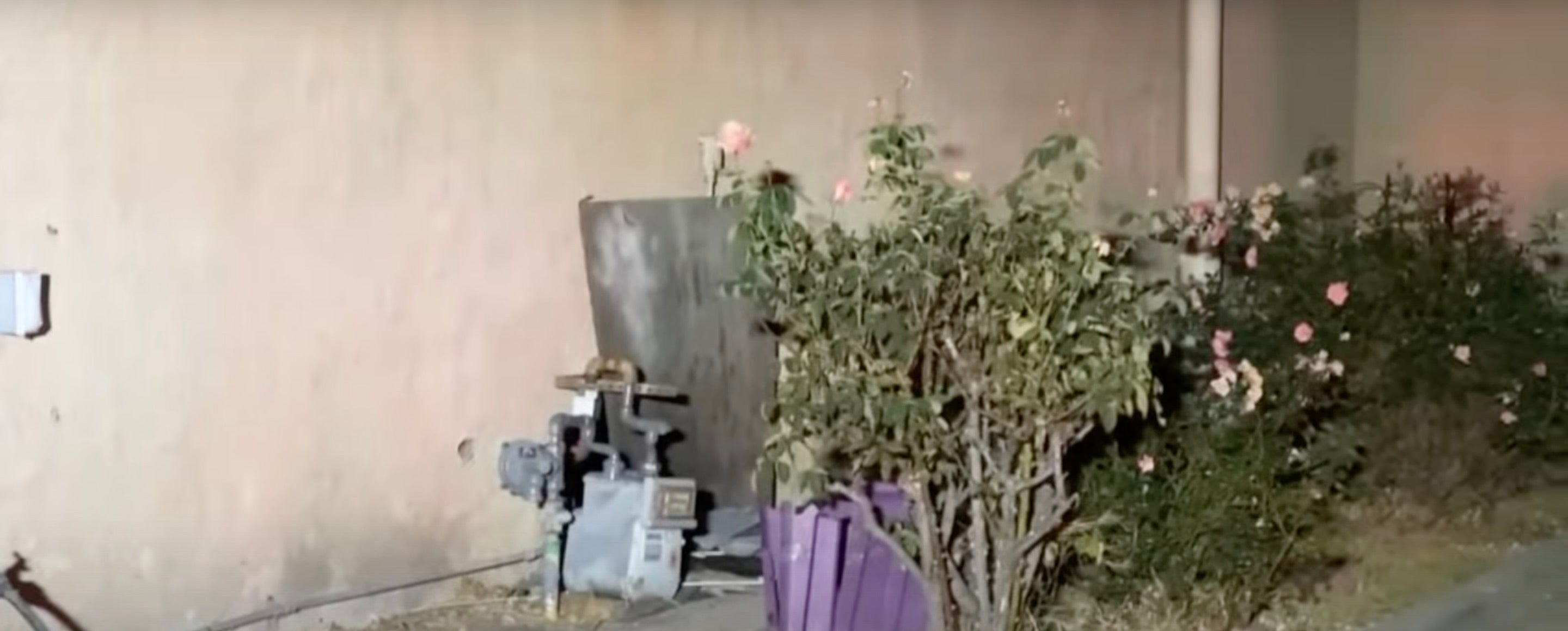 A ‘naked’ man was found living under an elderly woman’s Los Angeles home