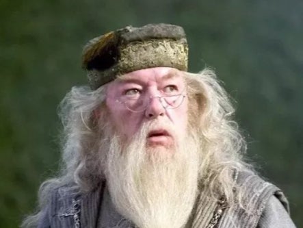 Michael Gambon in the ‘Harry Potter’ film franchise