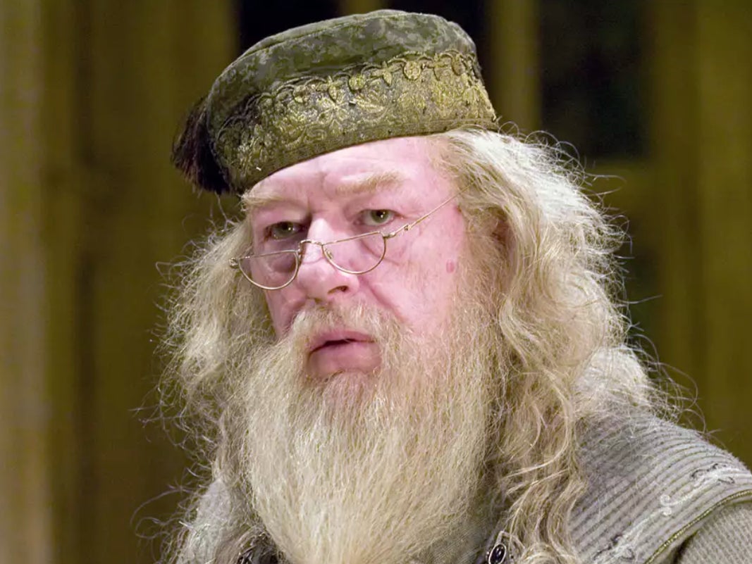 Michael Gambon as Albus Dumbledore