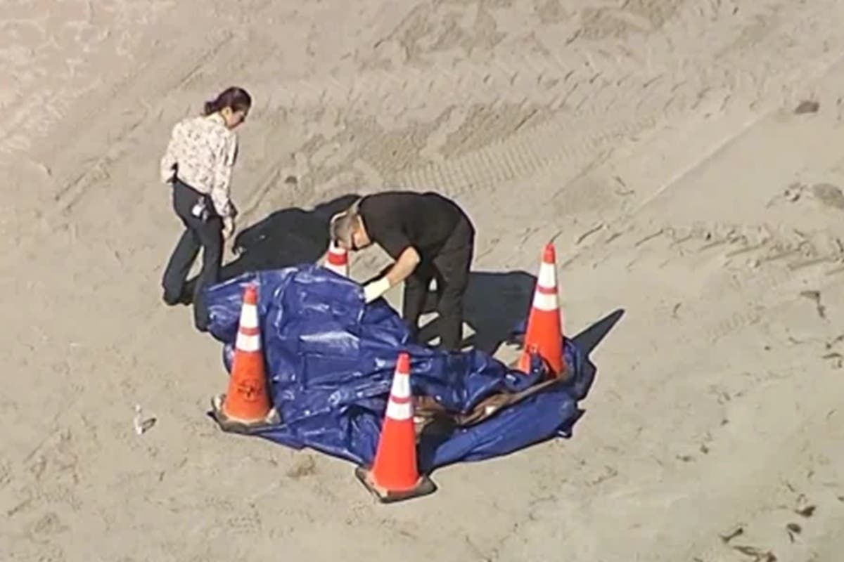 Human Head Discovered on Key Biscayne Beach: Mystery Unfolds