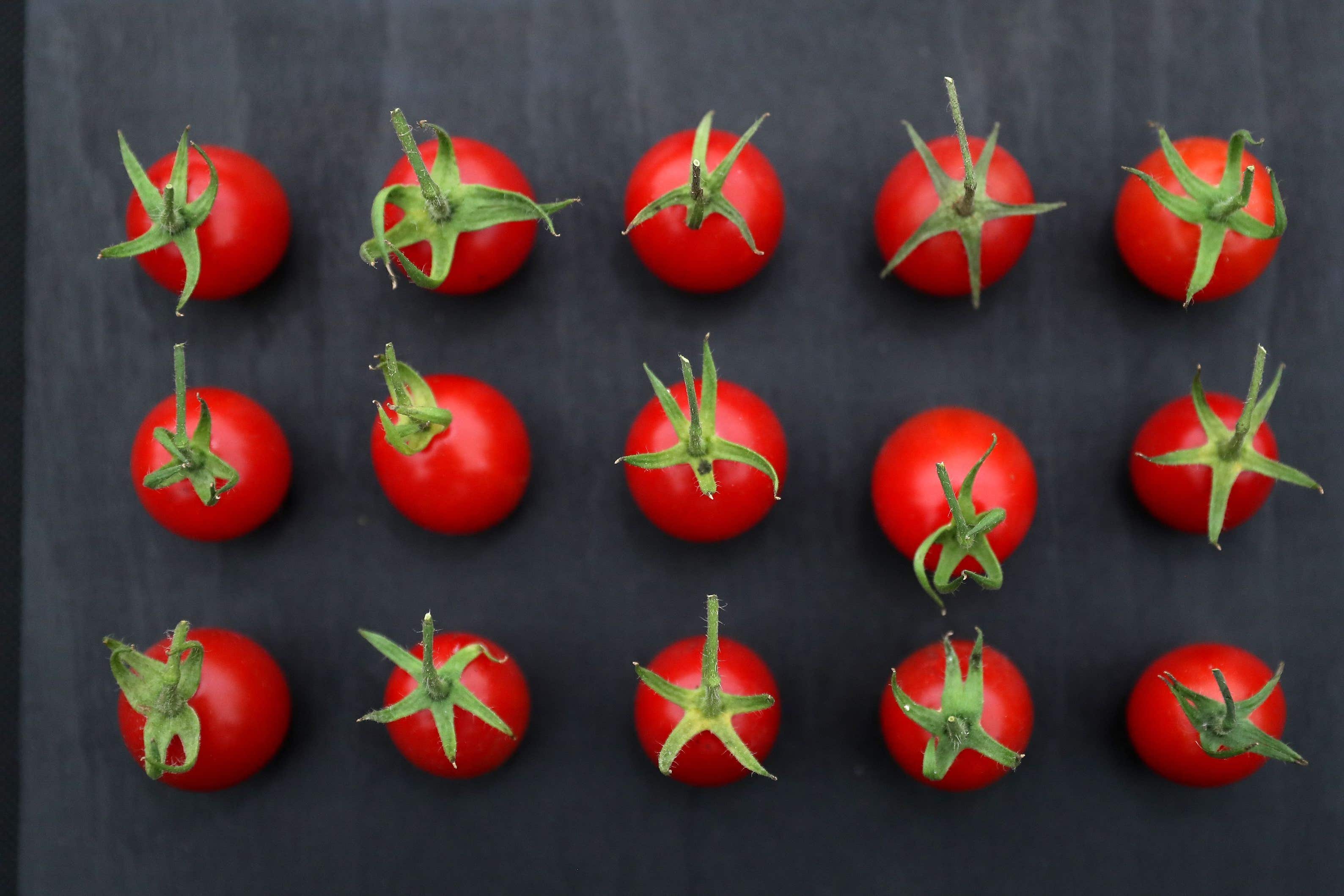 Tomatoes could be engineered to be sweeter without becoming smaller – study (Andrew Matthews/PA)