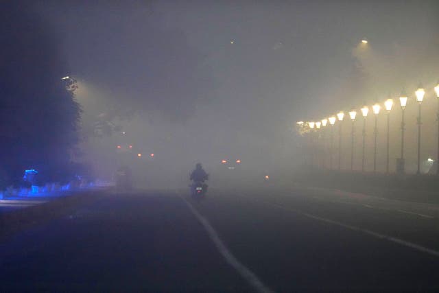 <p>A motorcyclist drives through a thick layer of smog in Delhi, India, on 15 November 2024</p>