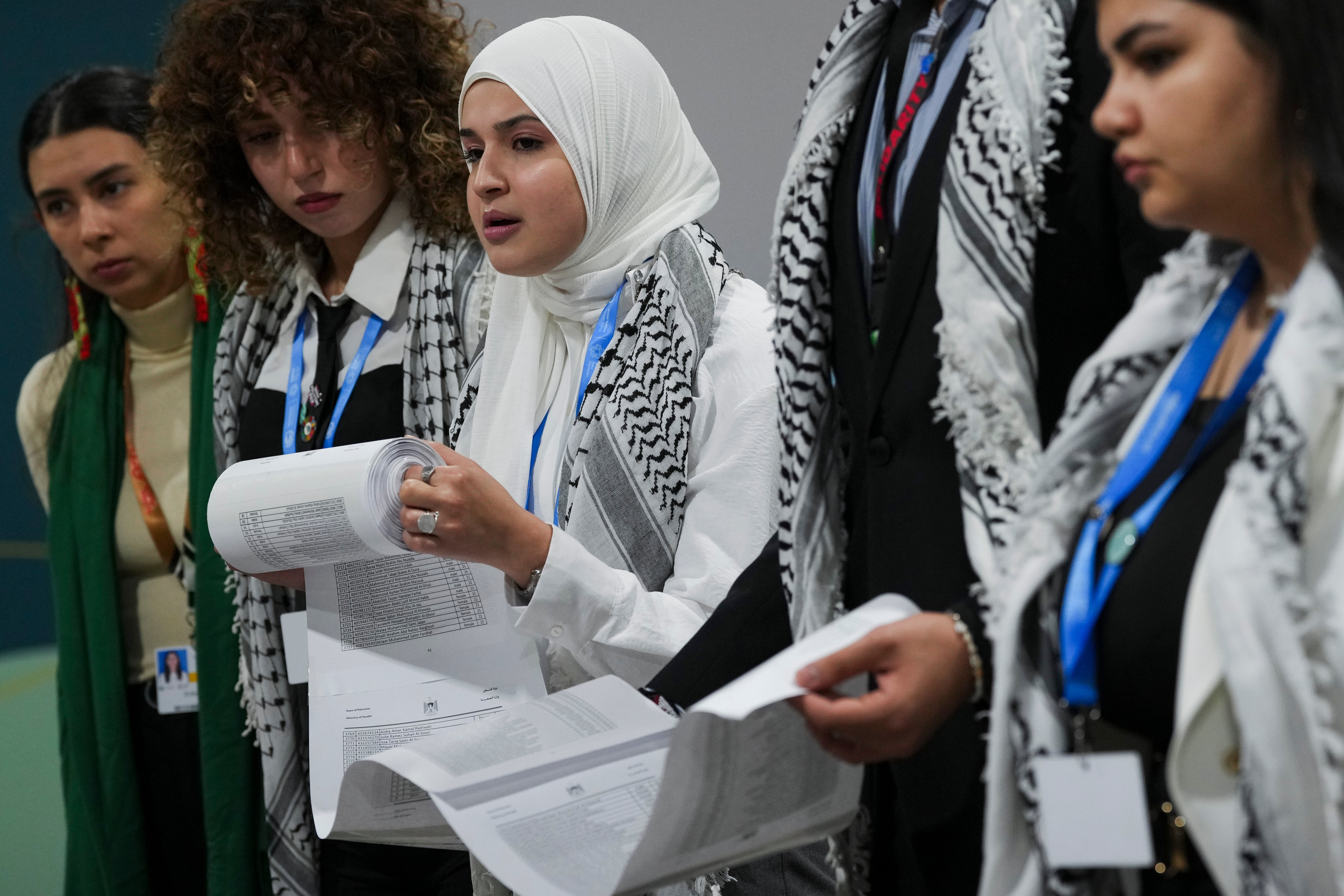 COP29 Climate Summit