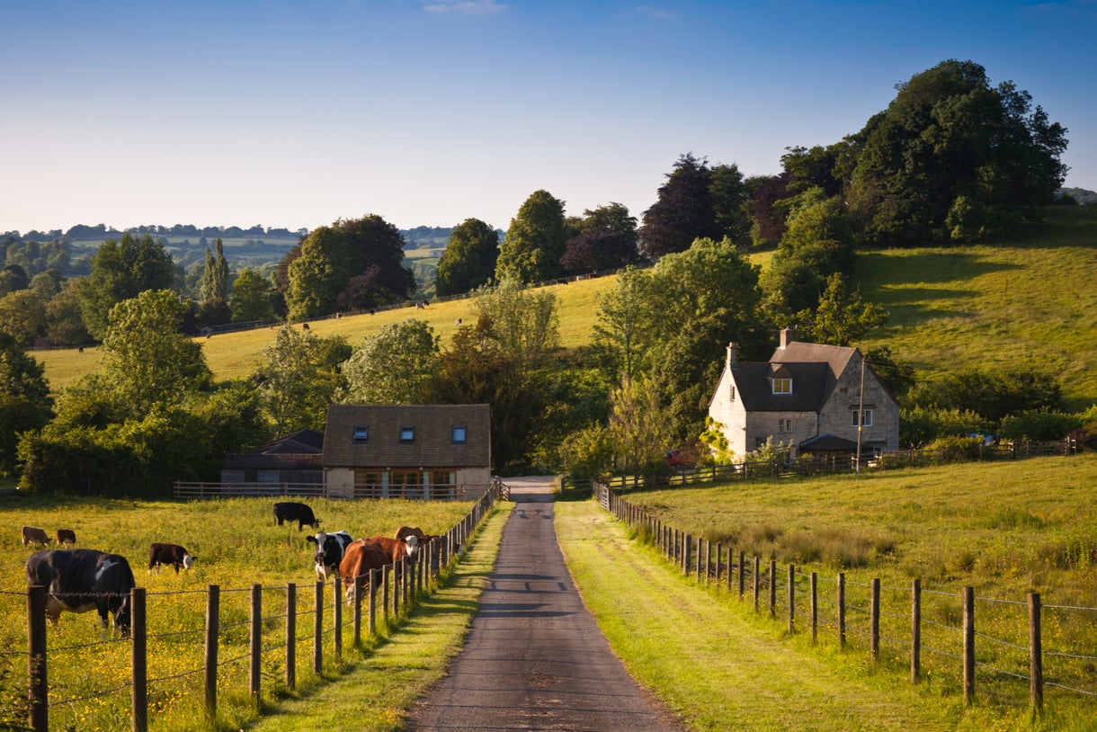 Food production and farming – an industry worth £120bn – has been squeezed by supermarkets and pulled apart by Brexit