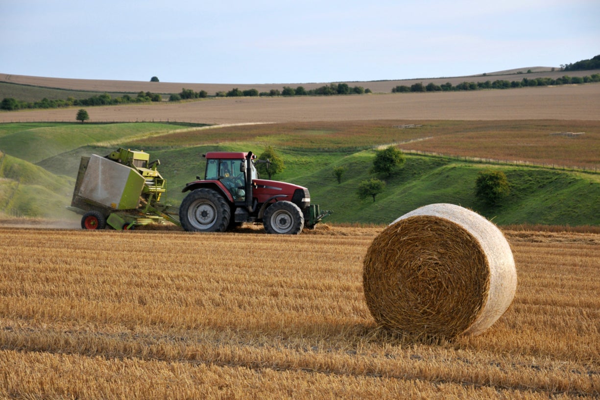 Sales to the EU have dropped by nearly 40 per cent, the analysis suggests