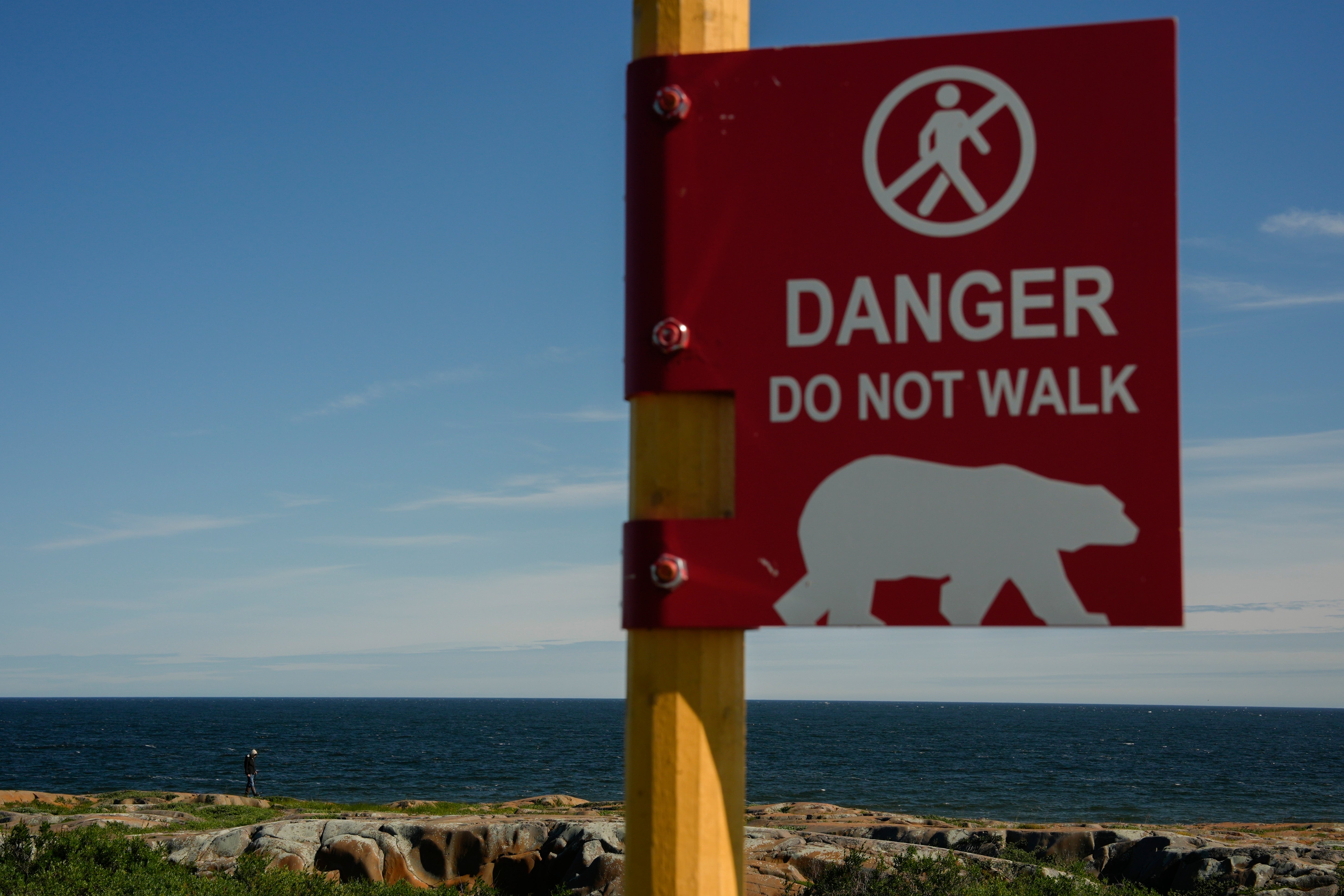 A person walks along the rocks near Hudson Bay while watching for polar bears, Saturday, Aug. 3, 2024, in Churchill