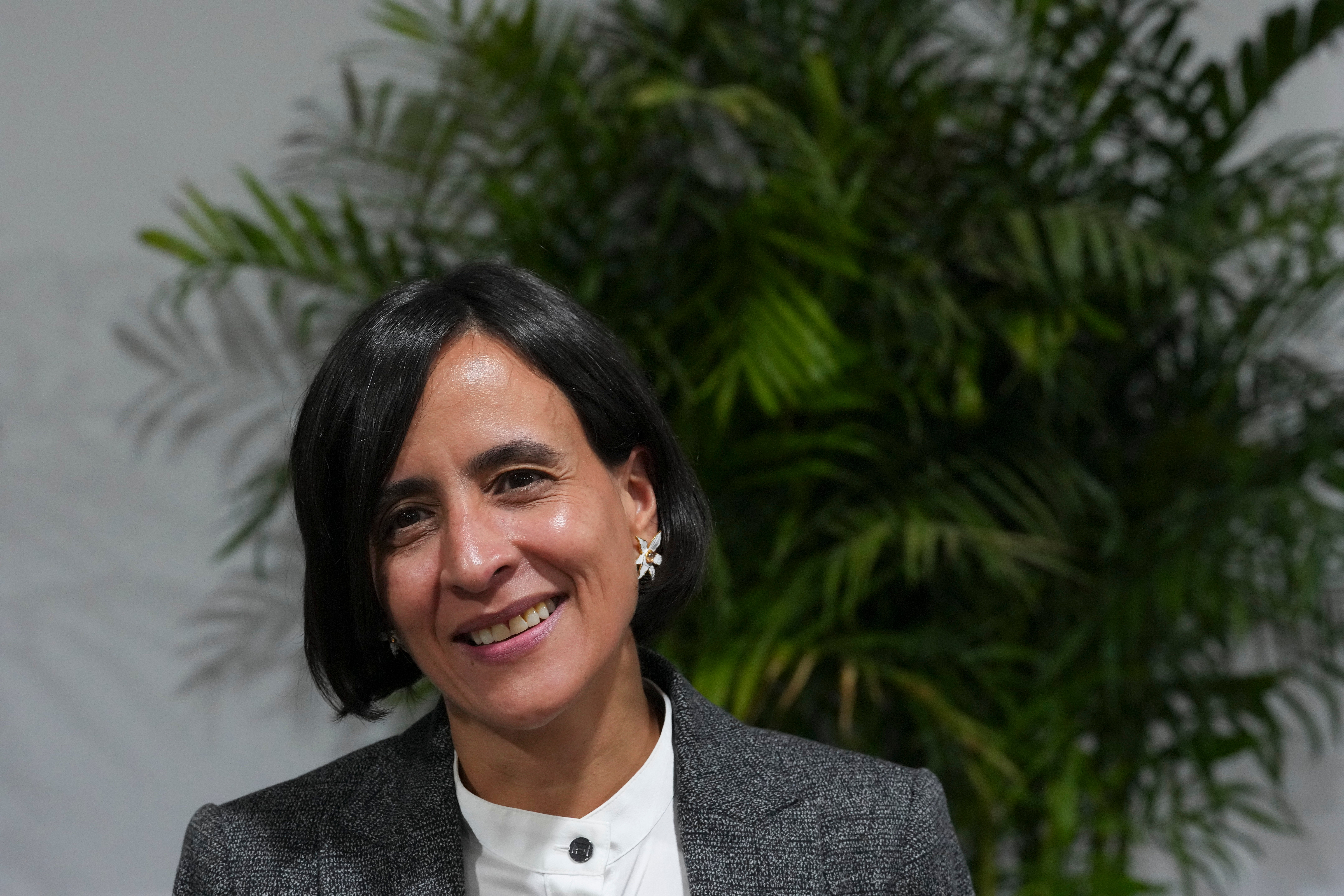 COP29 Climate Summit