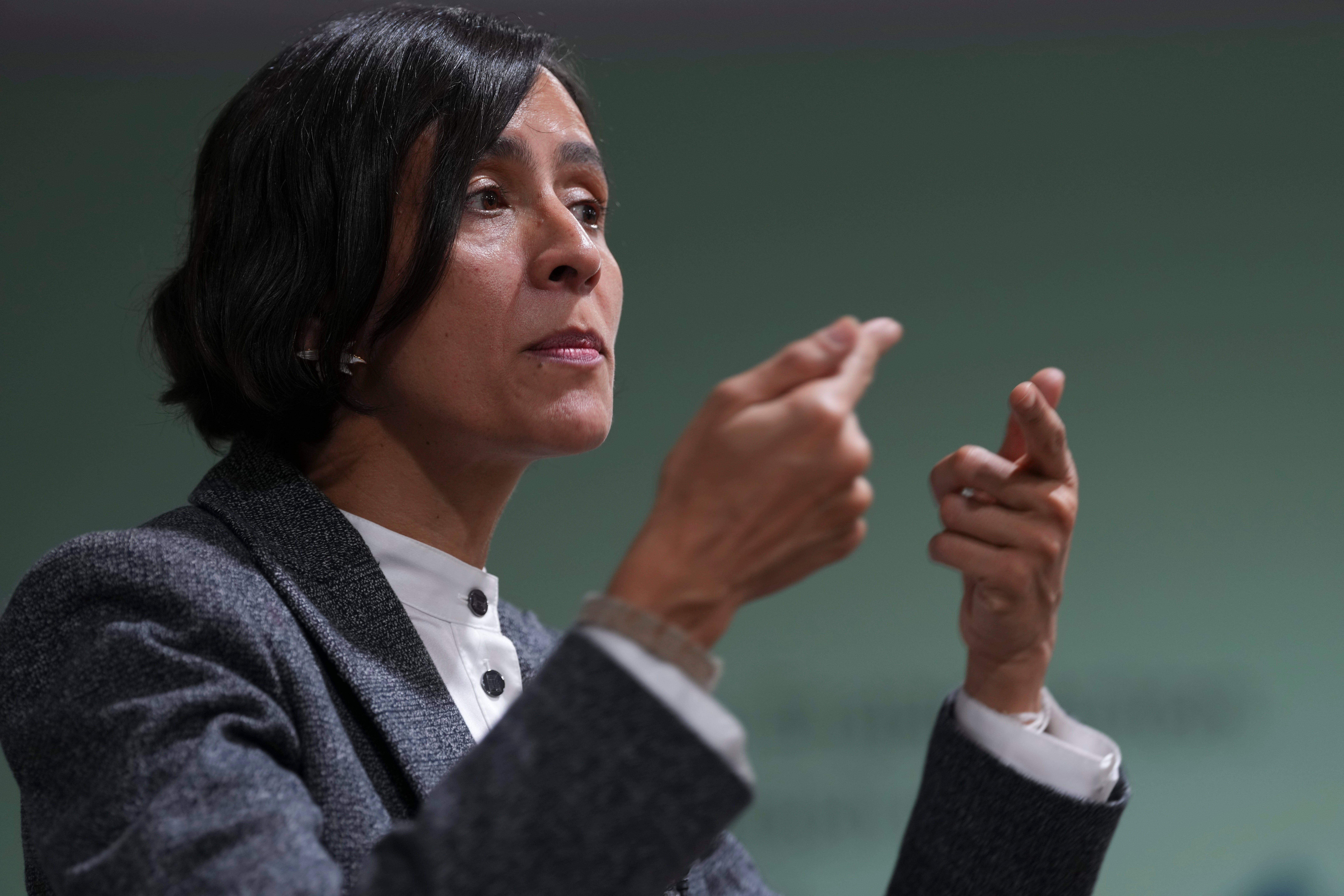 COP29 Climate Summit