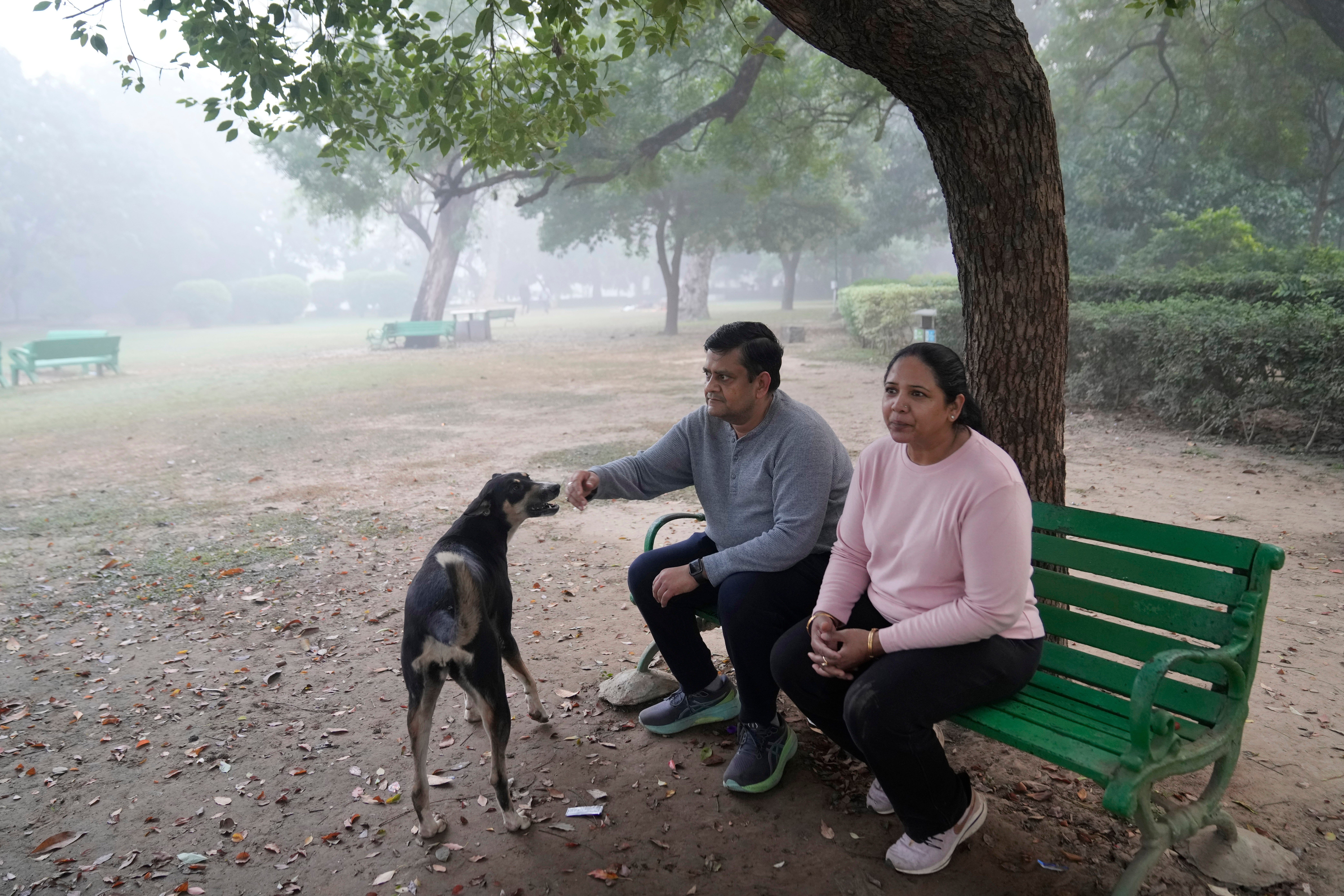 India Pollution Voices