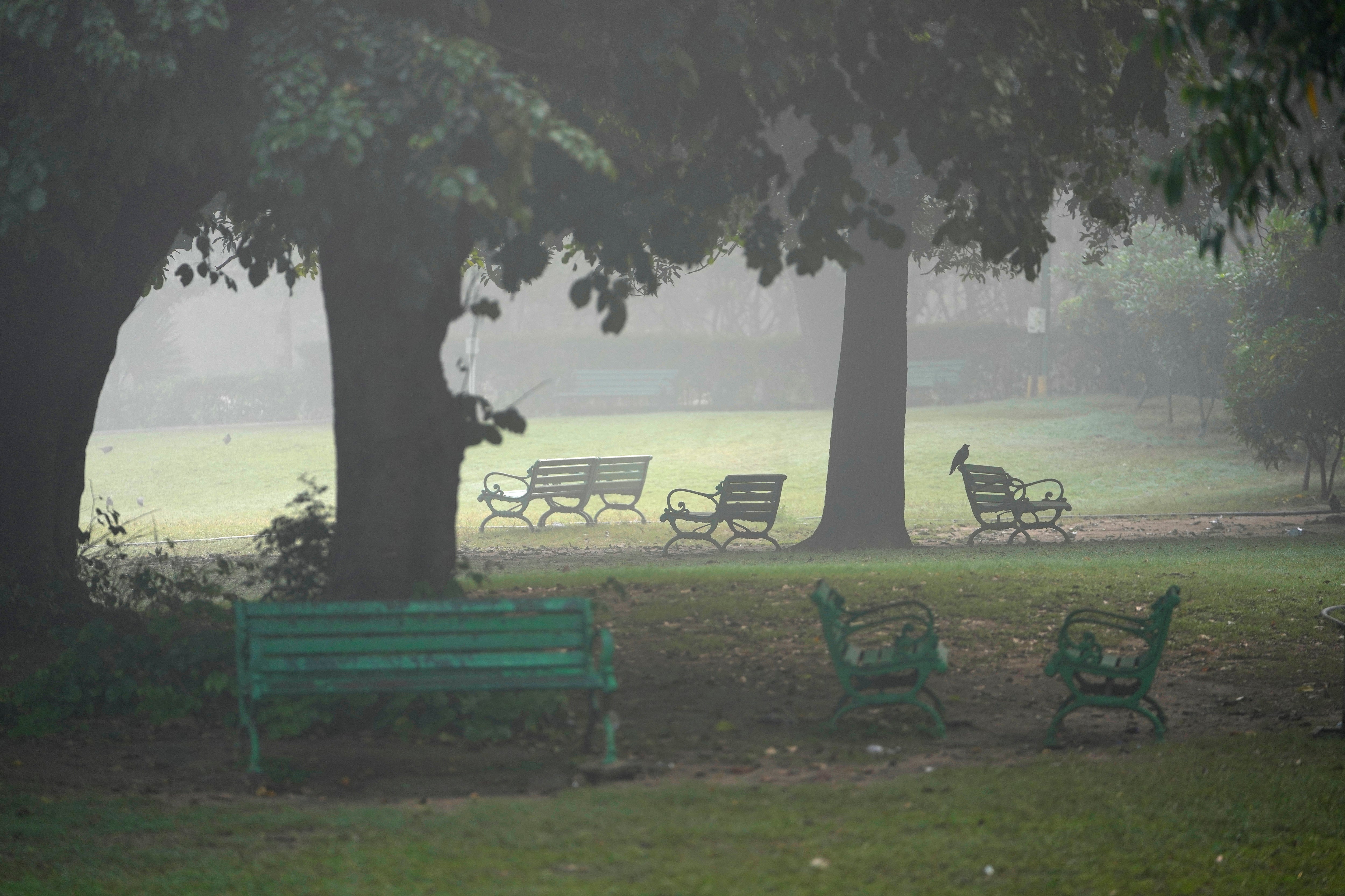 India Pollution Voices