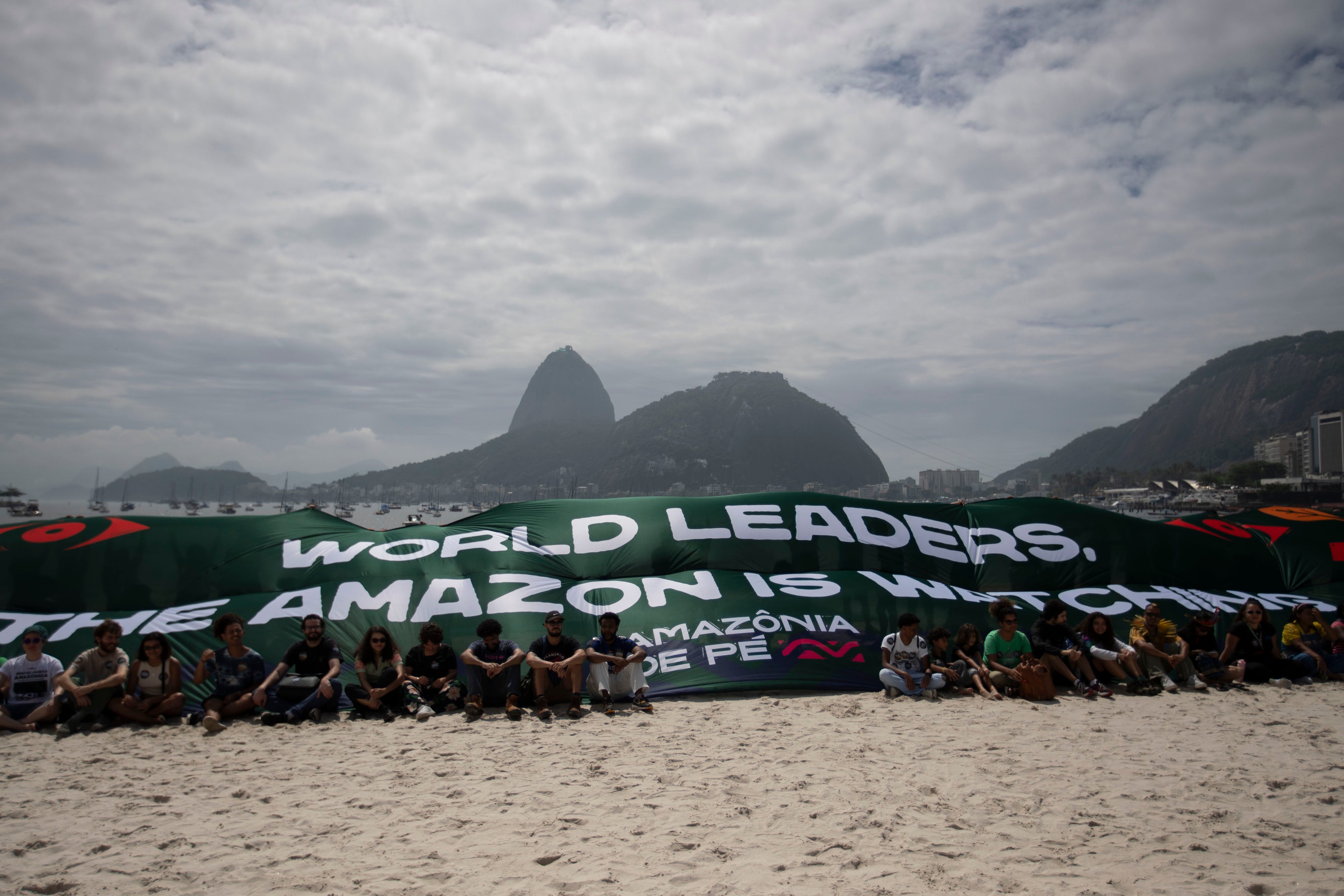 Brazil G20 Summit Protest