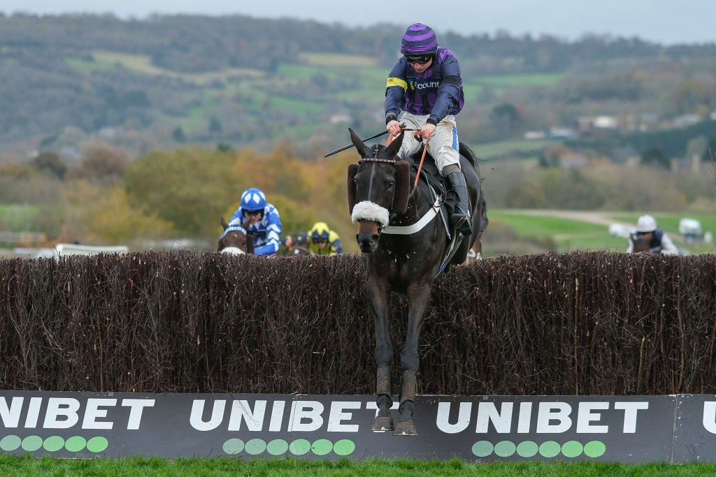 Abuffalosoldier collapsed moments after winning the Holland Cooper Handicap Chase race