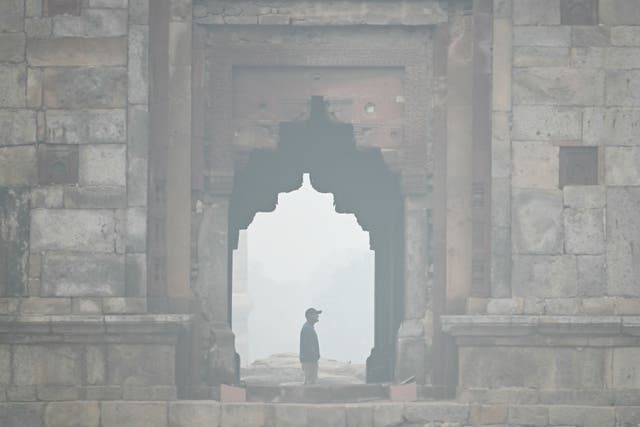 <p>A man visits the Lodhi Garden on a cold smoggy morning in Delhi on 18 November 2024</p>