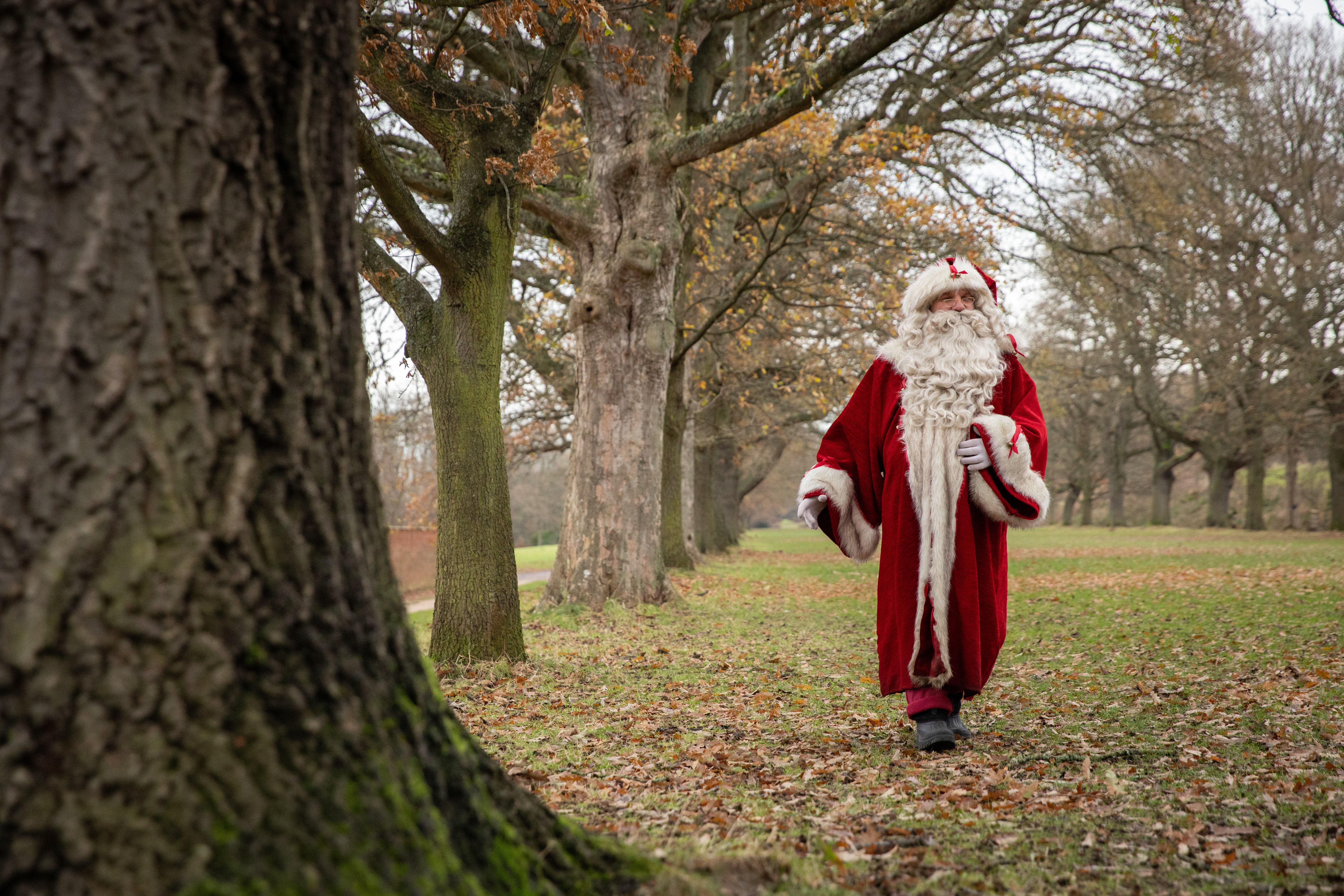 Get into the Christmas mood with one of these days out (National Trust Images/Rebecca Hughes/PA)