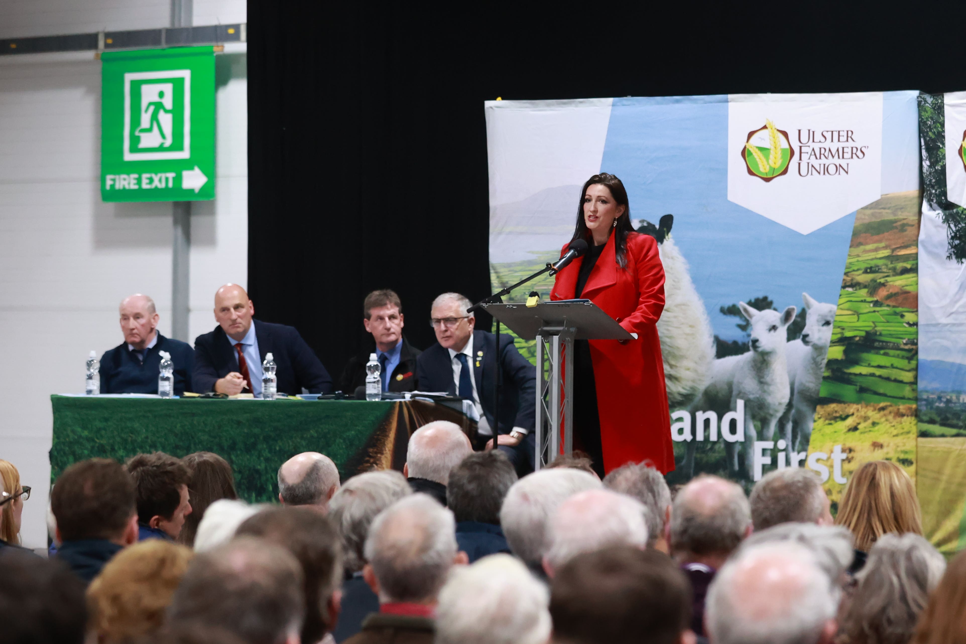 Deputy First Minister Emma Little-Pengelly speaking at the Ulster Farmers’ Union rally (Liam McBurney/PA)