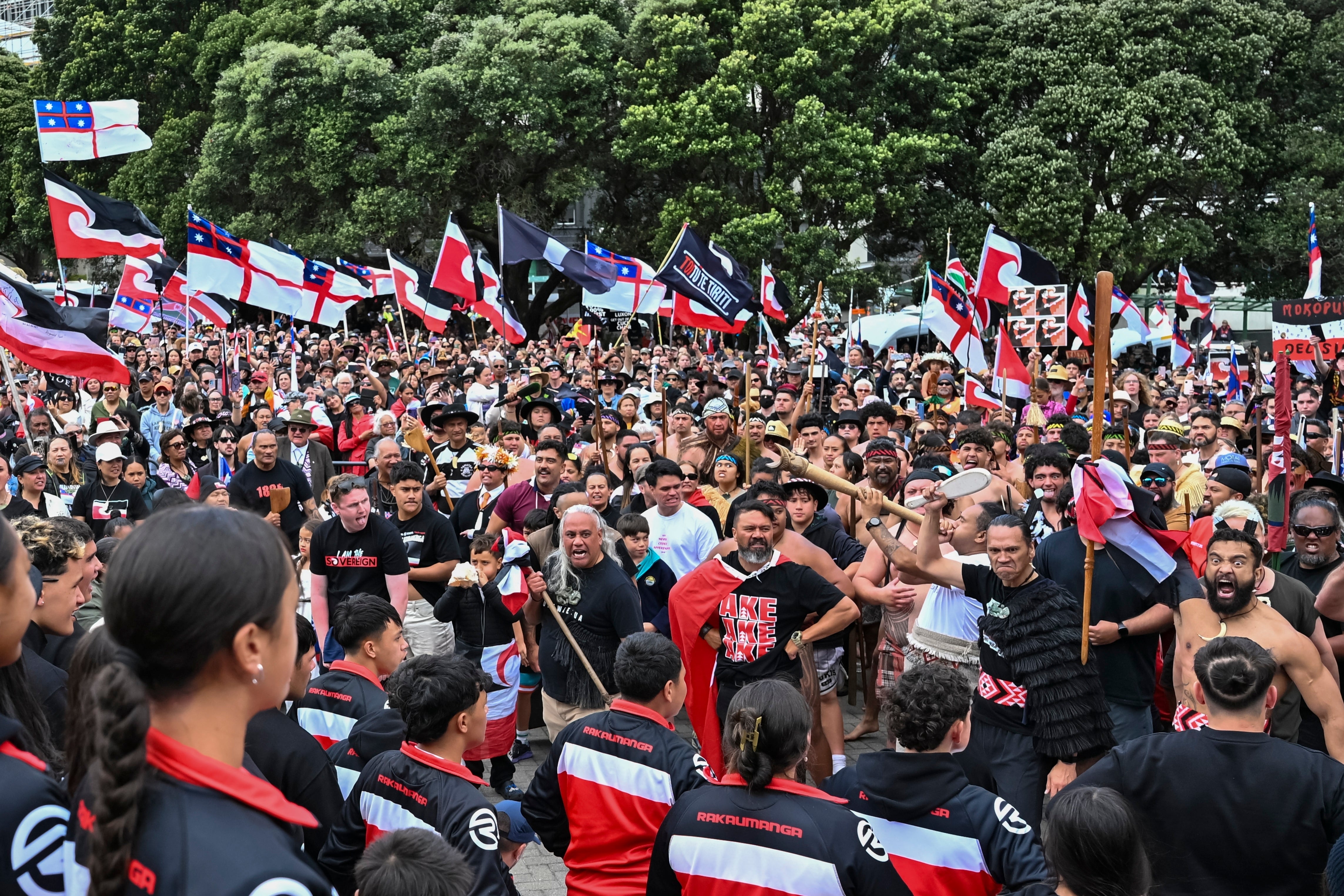 New Zealand Treaty Law Protest