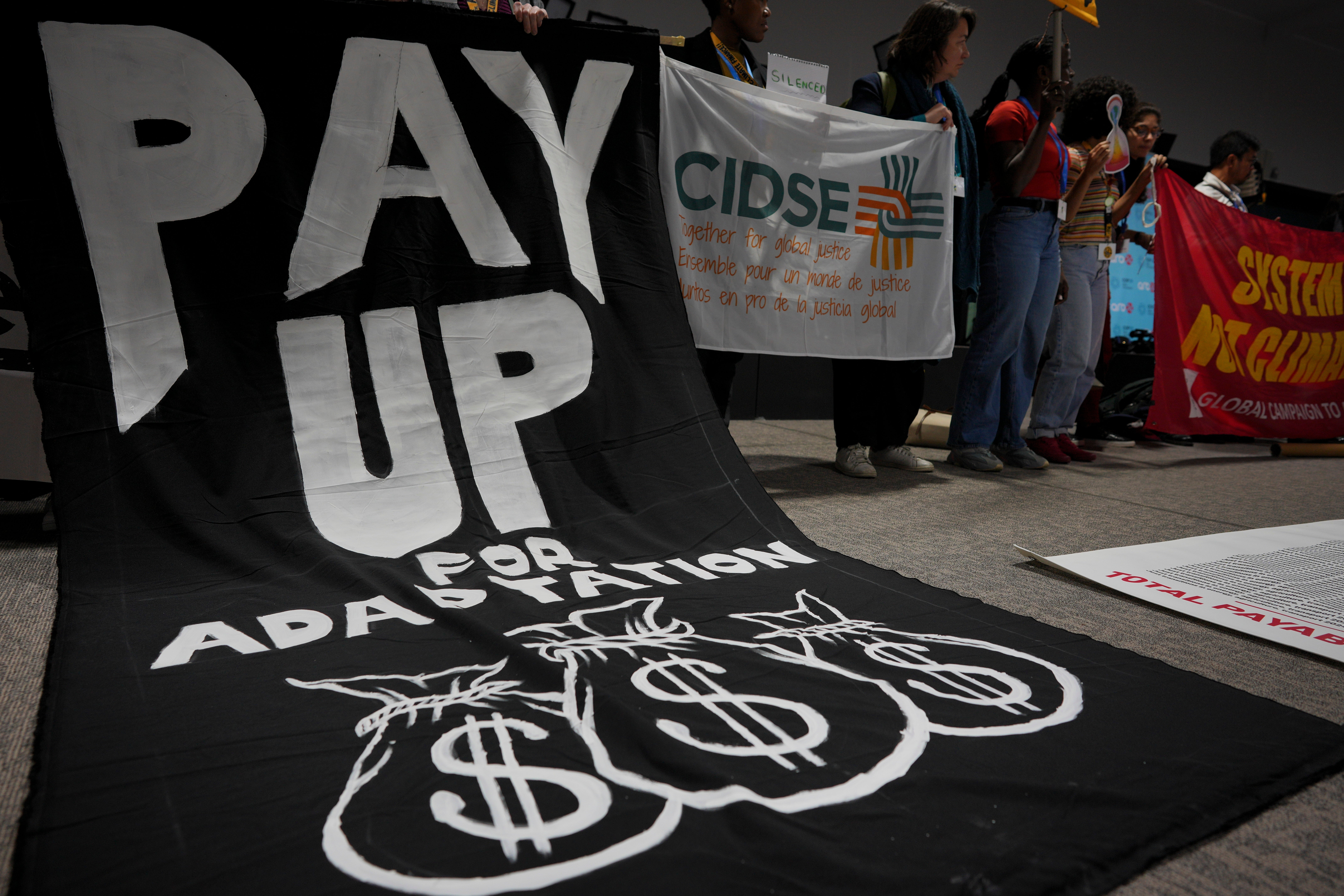 COP29 Climate Summit