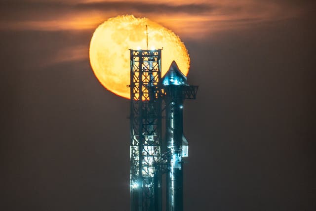 <p>SpaceX’s Starship rocket pictured on its launchpad in Boca Chica, Texas, on 18 November, 2024</p>