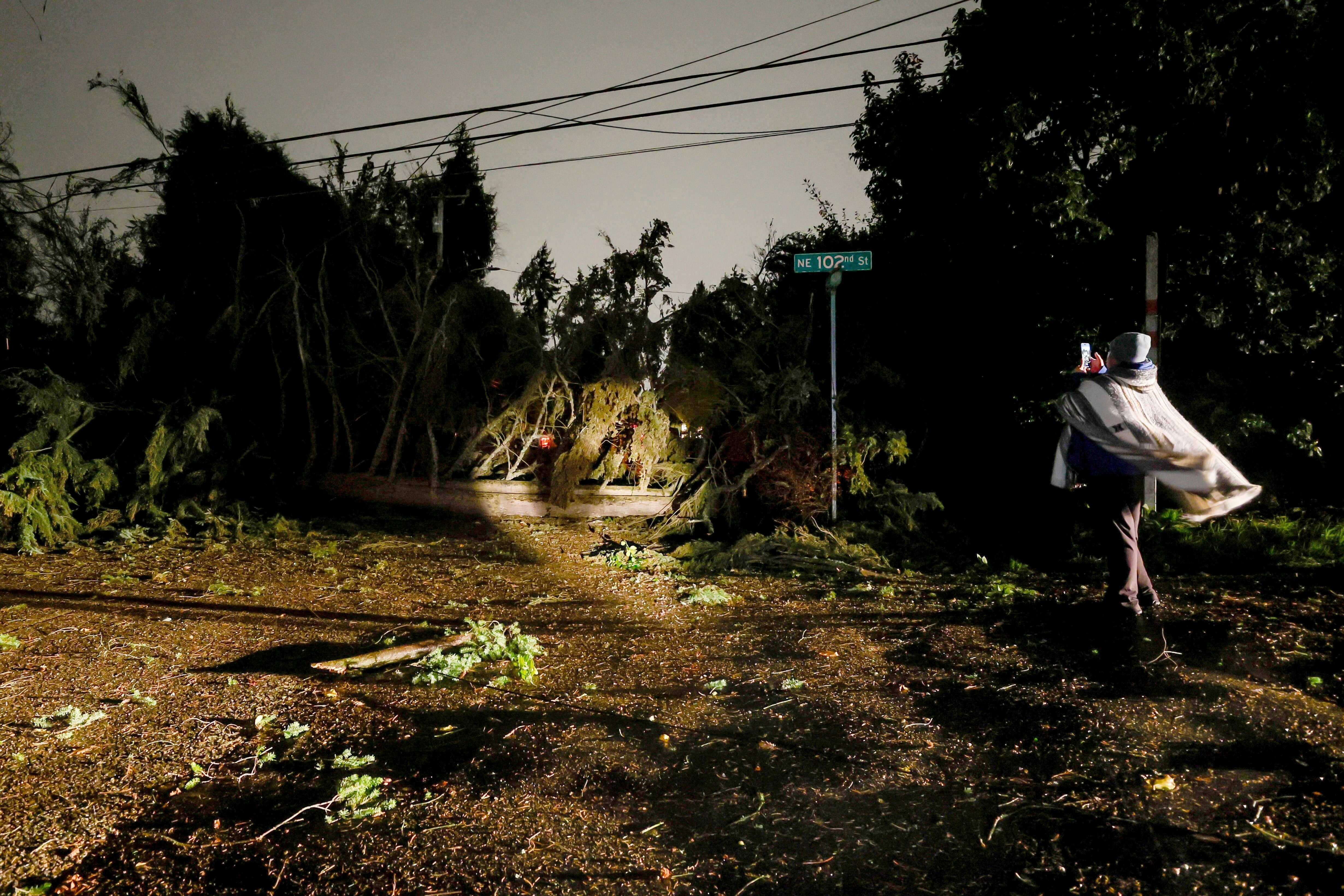 Damaged tree and downed power lines during a major storm on November 19 in Seattle