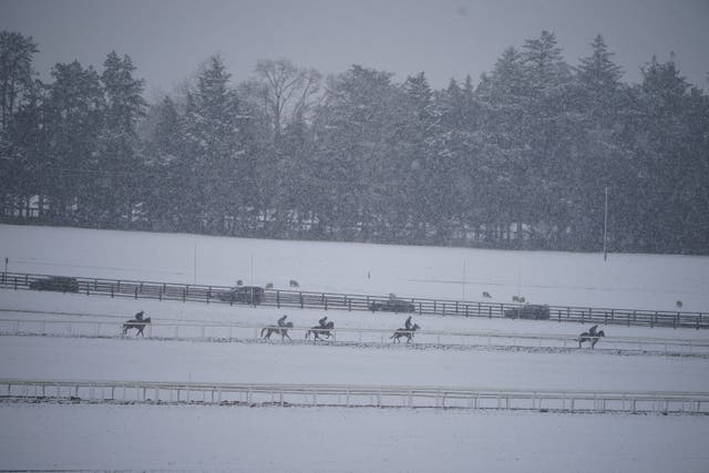 Horses on the gallops at the Curragh racecourse in Co Kildare (Niall Carson/PA)