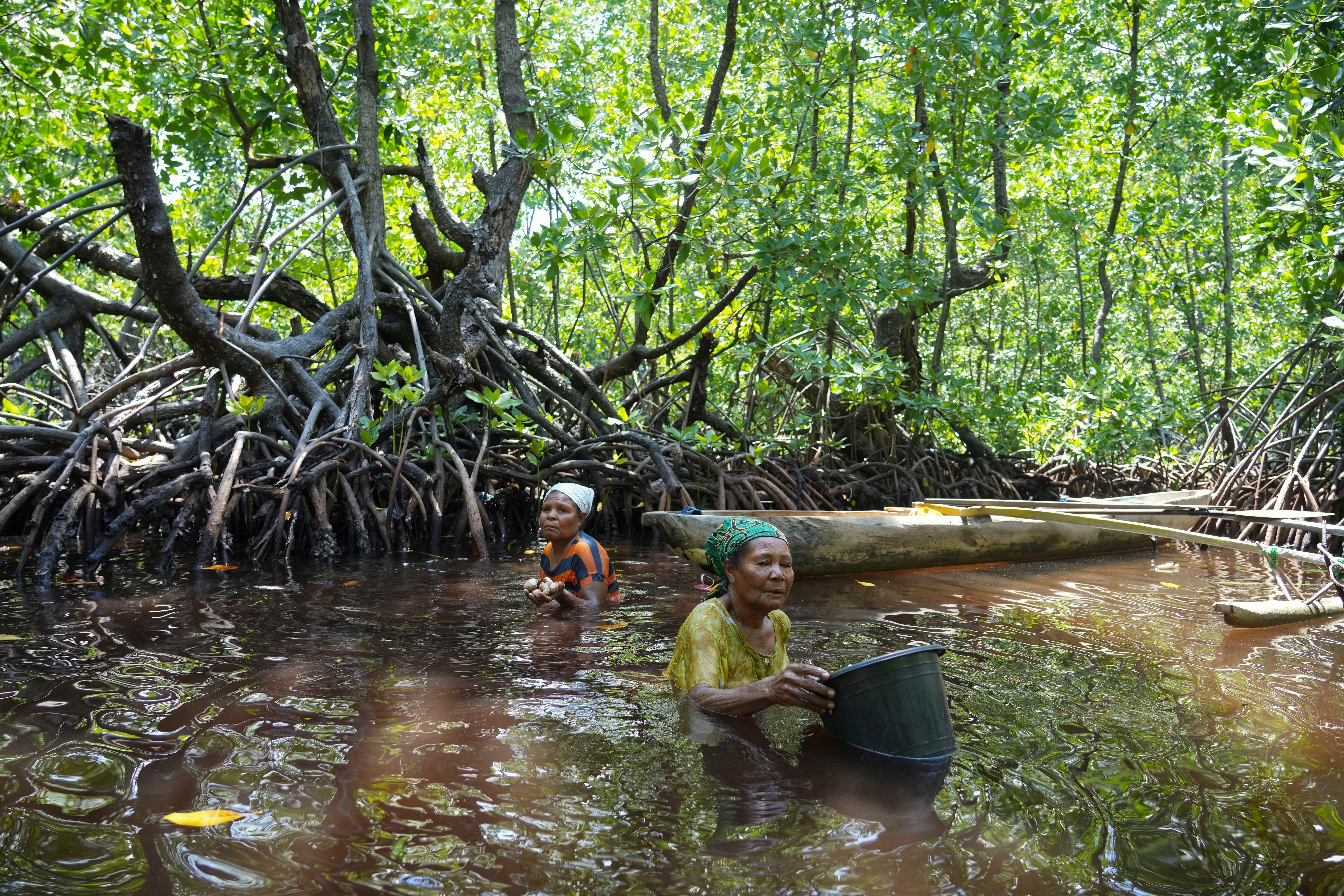 Climate COP29 Indigenous Women Mangroves