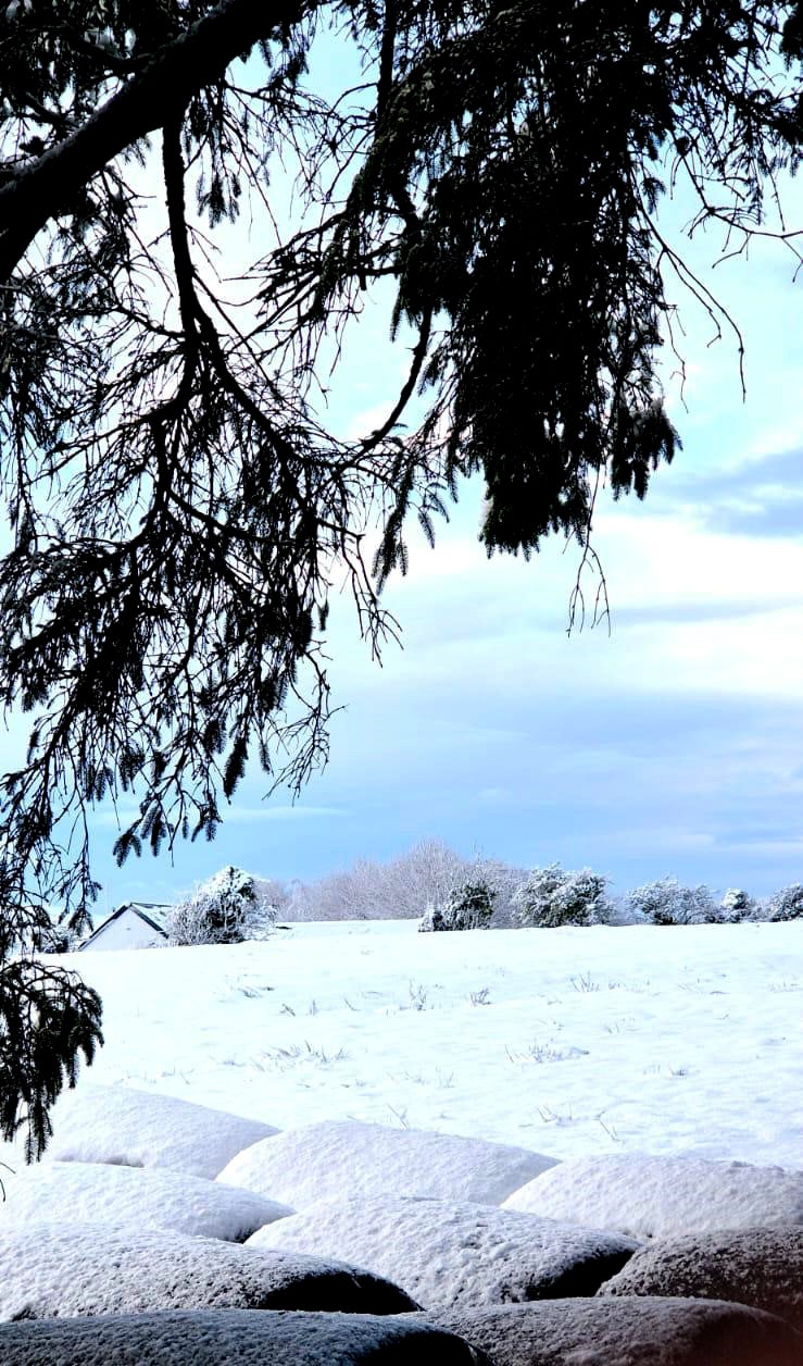 Snowy scenes in Kilboyne, Co Mayo