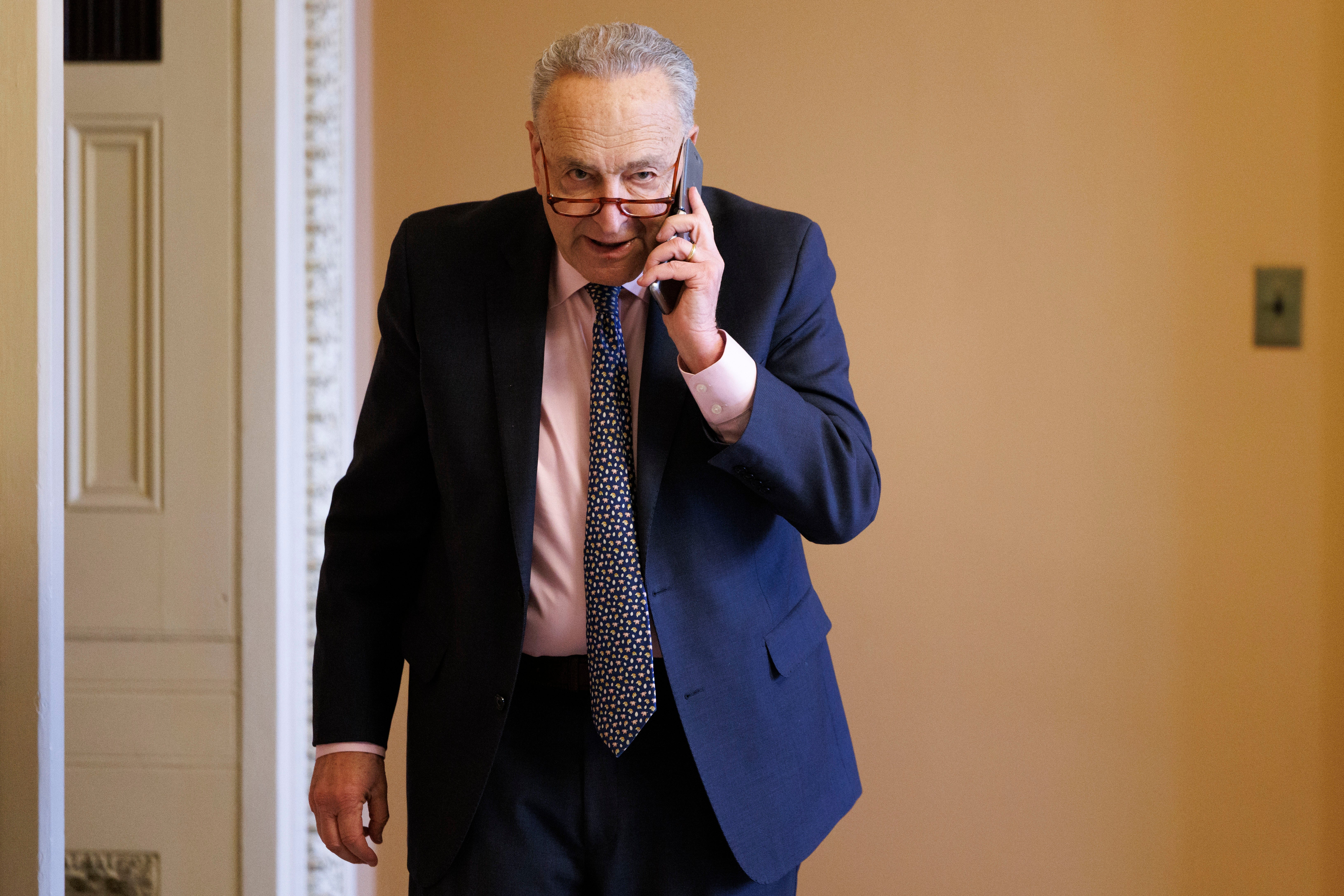 Democratic Senate Minority Leader Chuck Schumer rarely appears in public without his ungainly reading glasses perched at the end of his nose