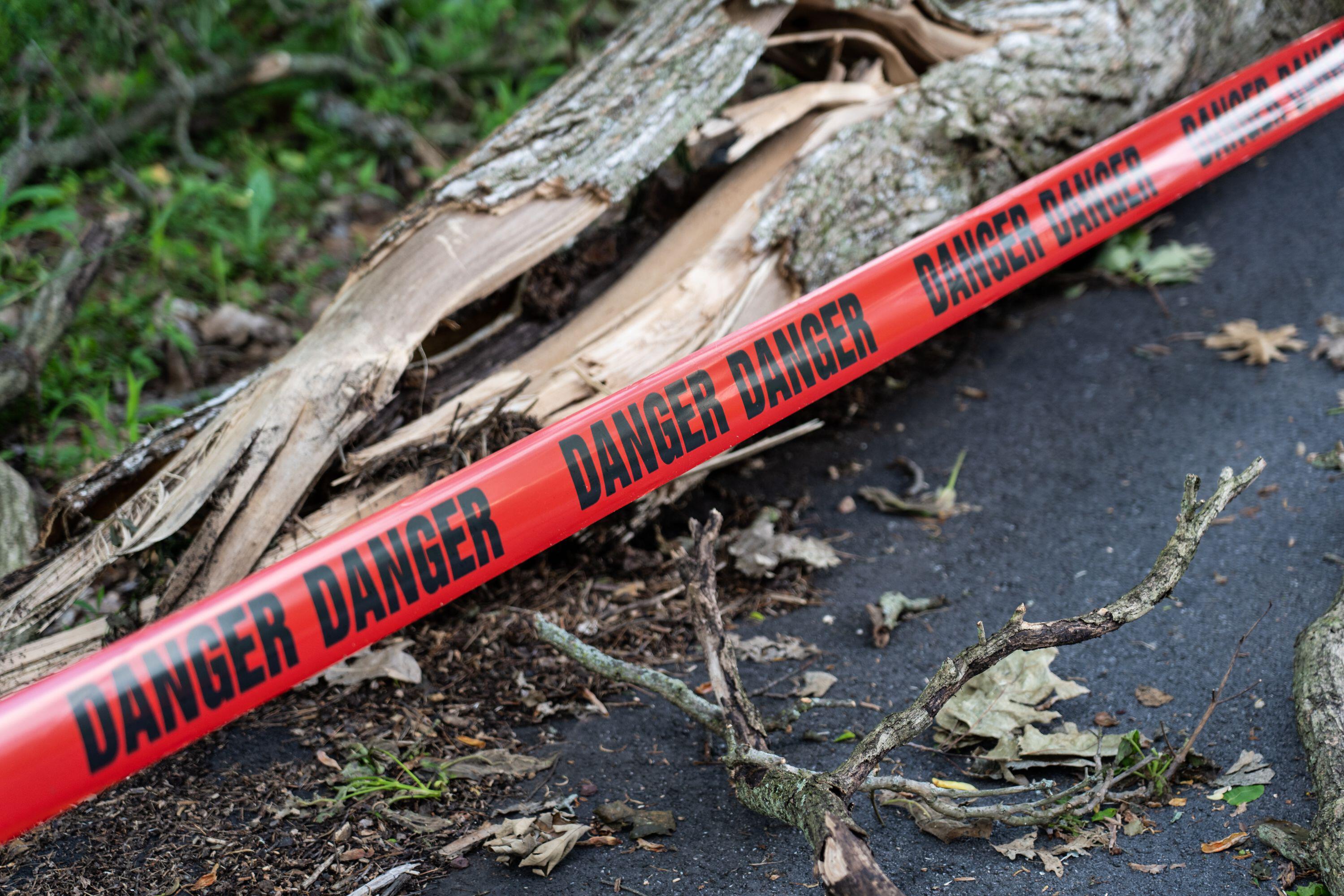 Look out for any hanging or fallen trees (Alamy/PA)