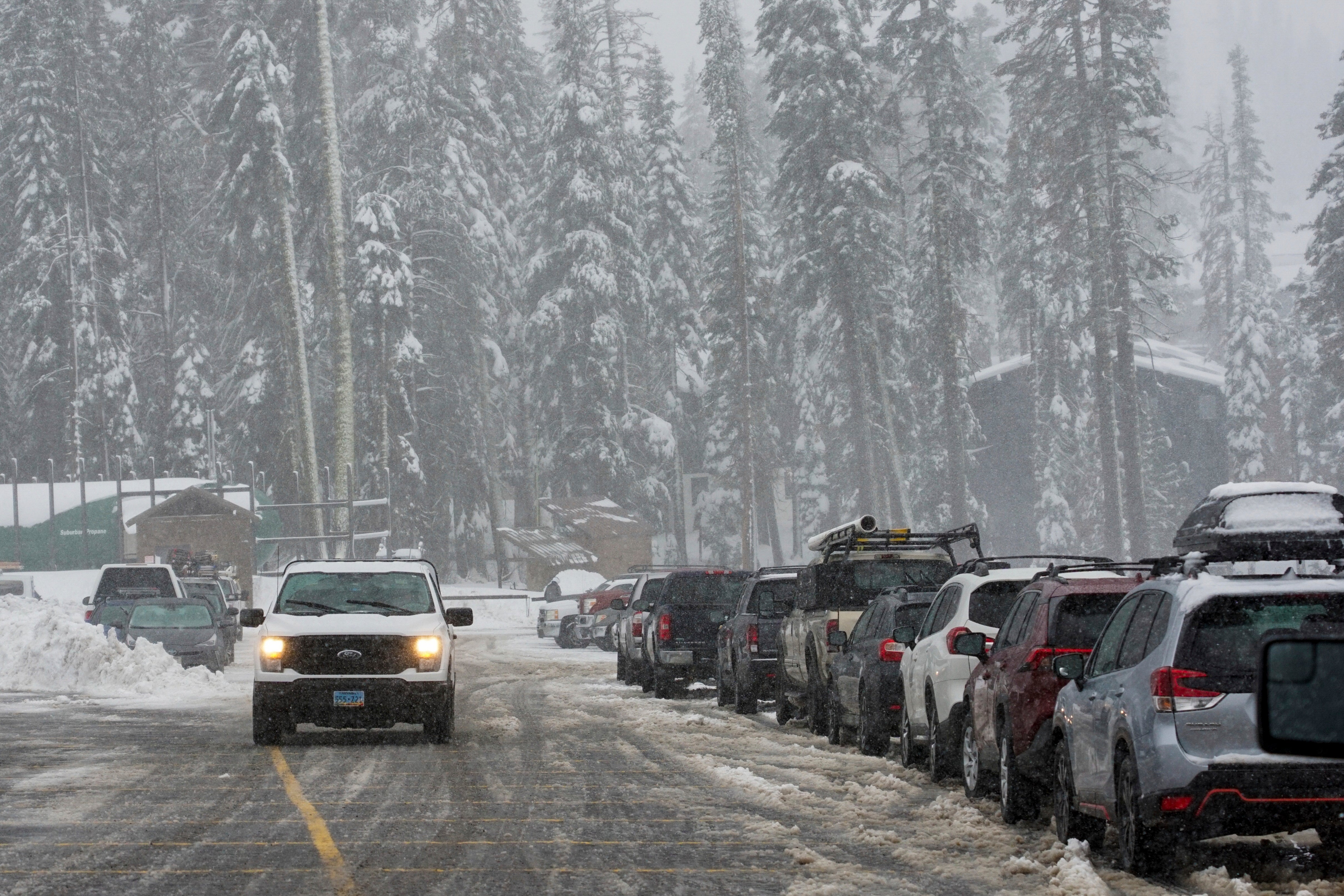 Snow comes down on trees and a road during a storm Thursday, November 21, at Sugar Bowl Ski Resort in Norden, California