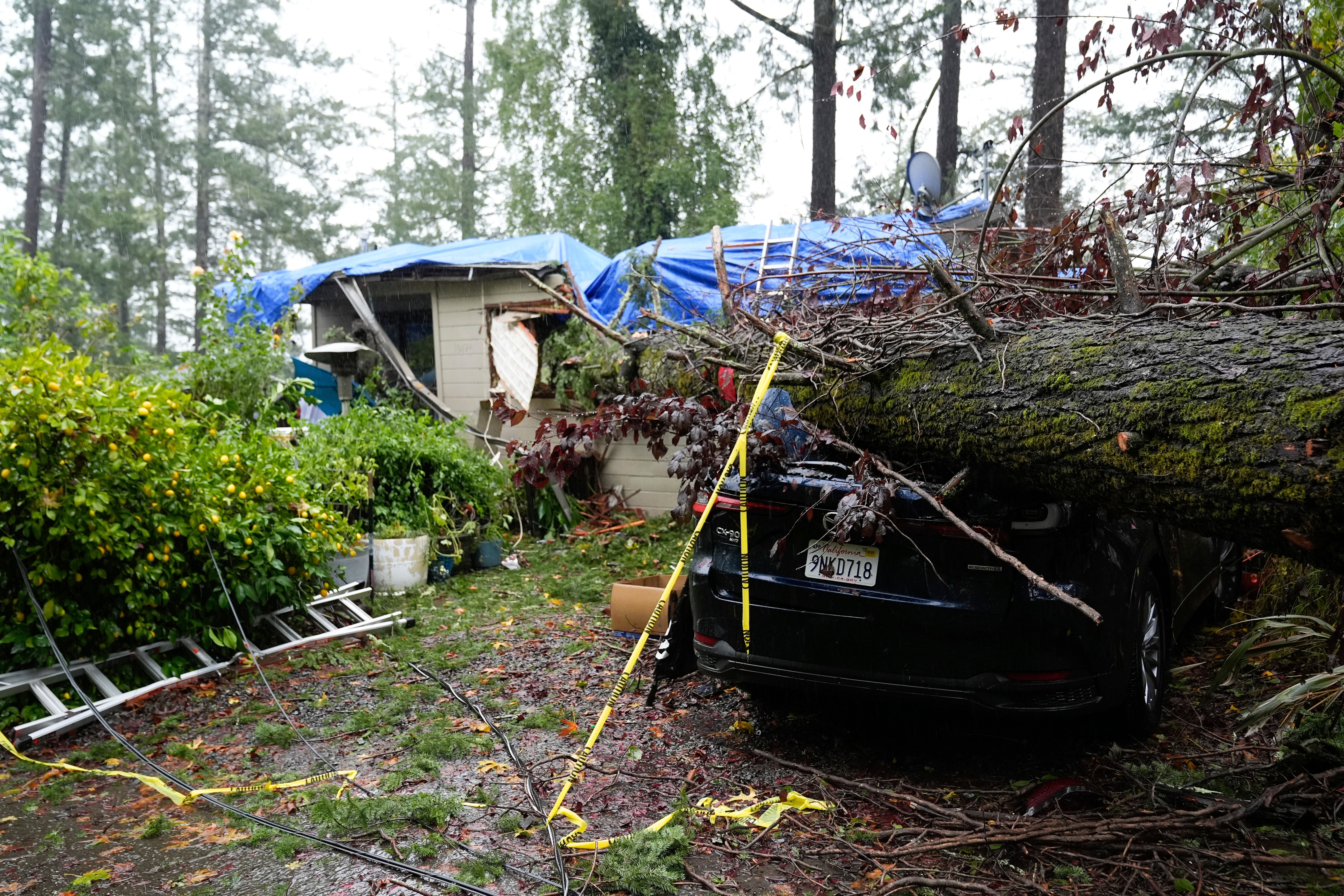 A downed tree destroys a vehicle and a property in Forestville, California, on Thursday. Many trees fell along the West Coast this week, killing two people and blocking roads