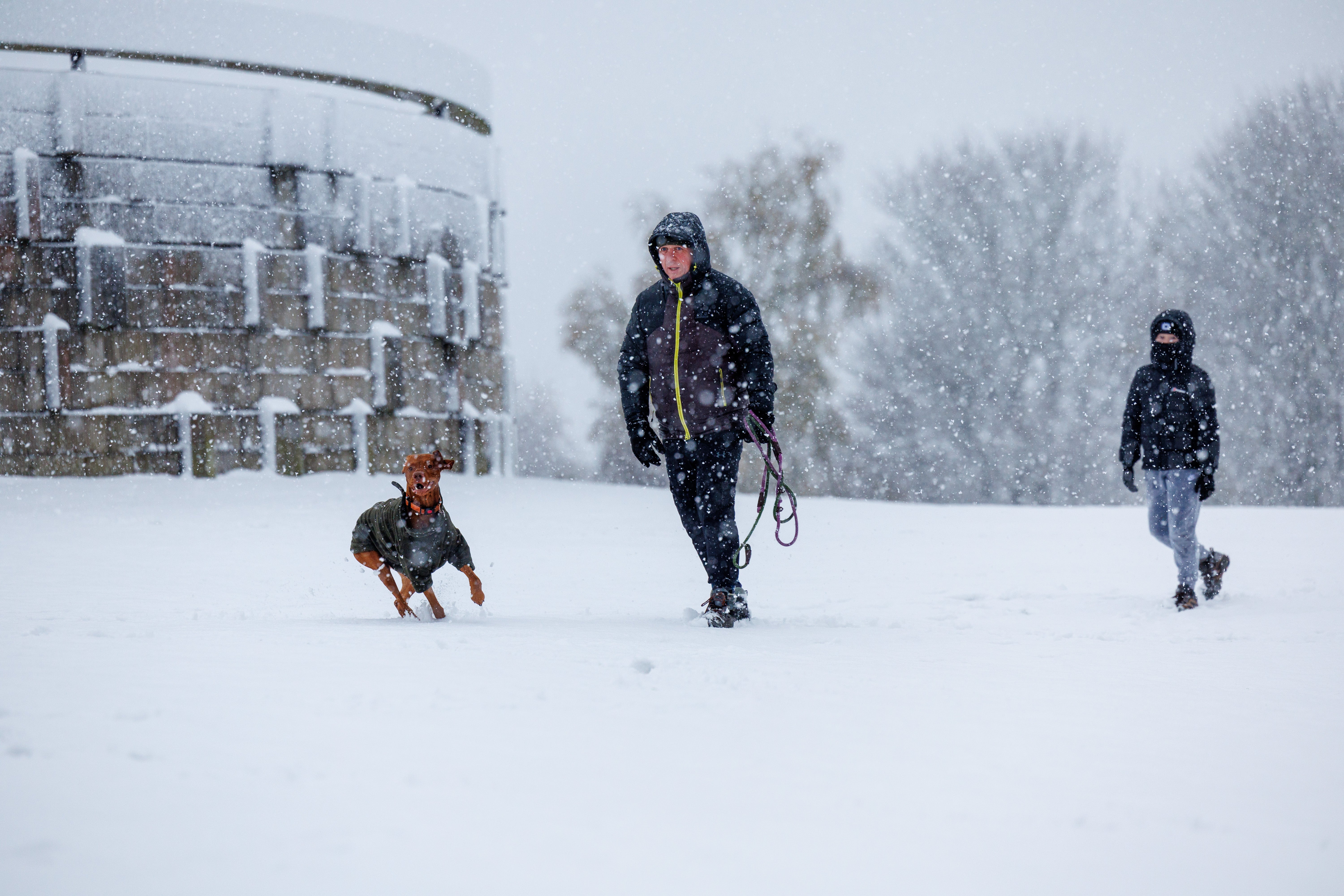 A man and his son and dogs having fun in heavy snowfall at Bannockburn, near Stirling (Robert Perry/PA)