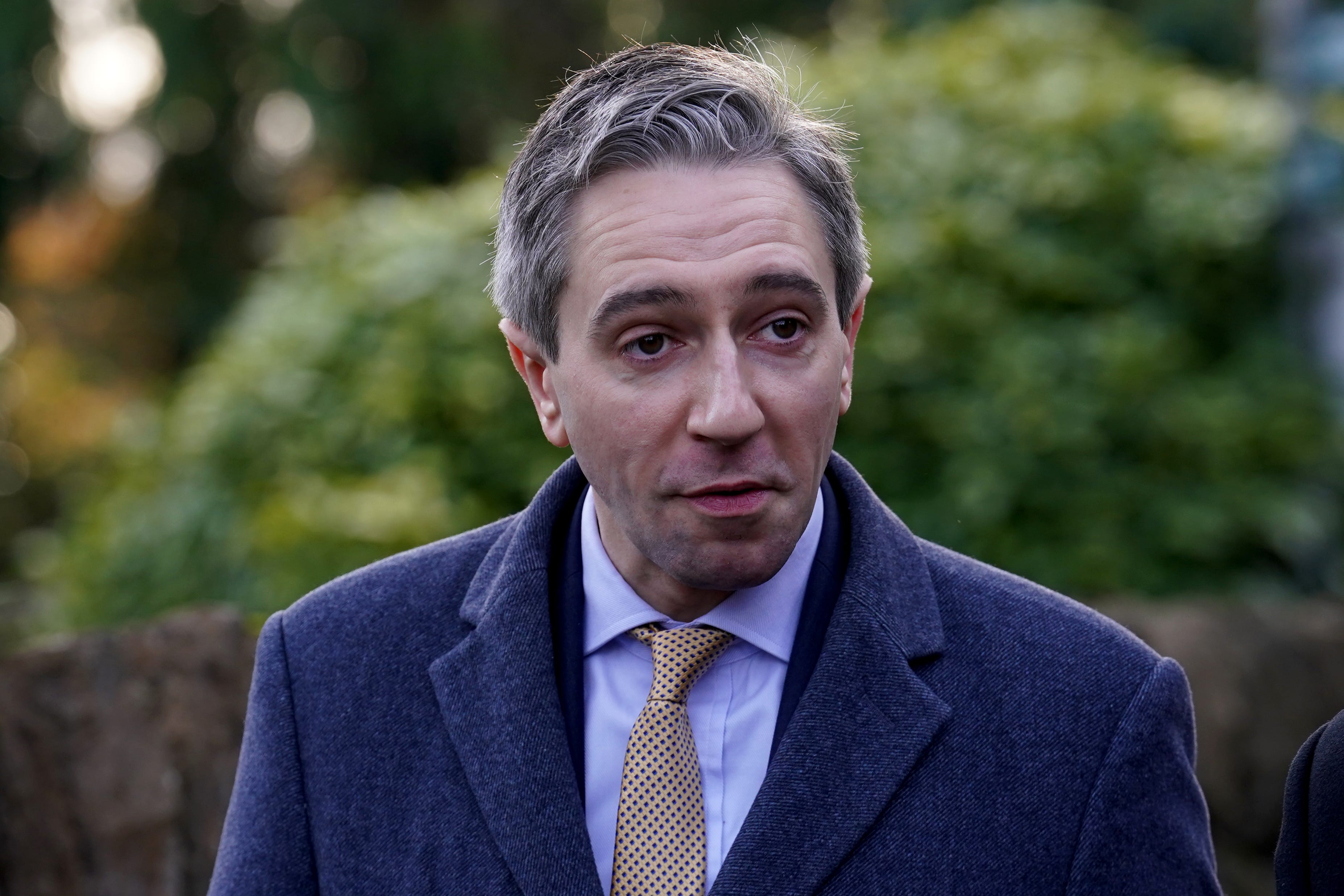 Taoiseach Simon Harris has said previously that Irish unity is not a priority for his premiership (Brian Lawless/PA)